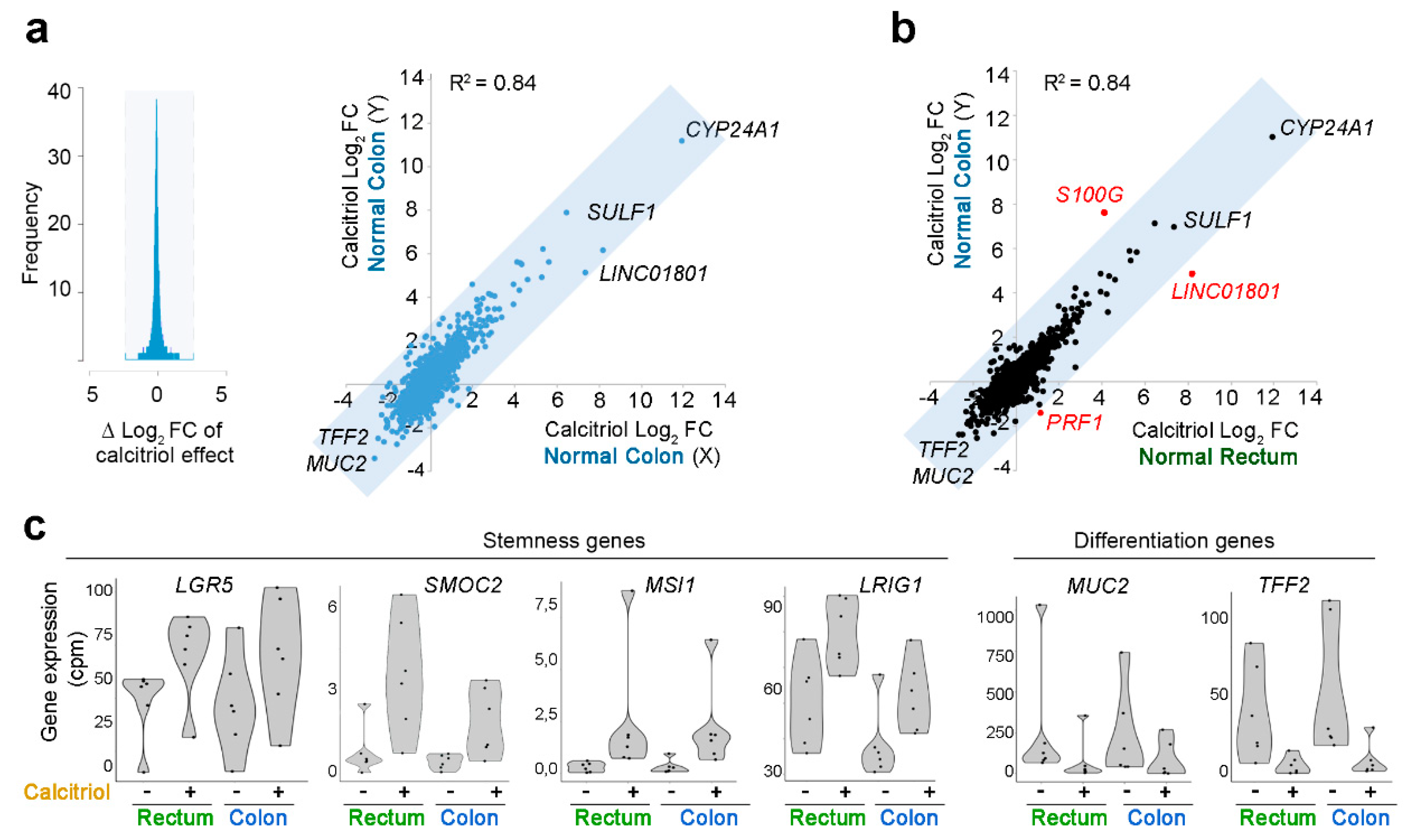 Cancers 12 02302 g005 Cancers 12 02302 g005