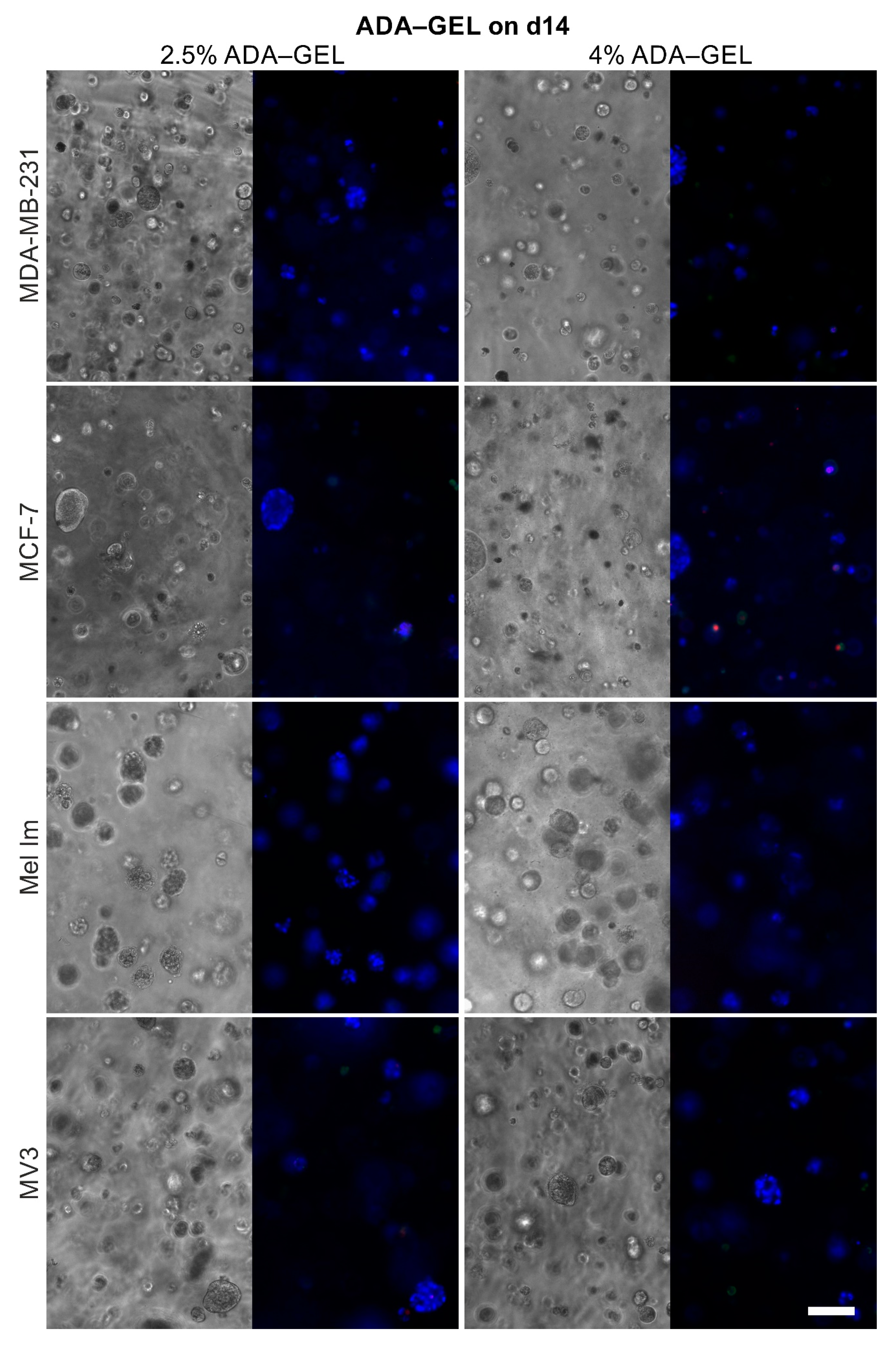Cancers 12 02320 g005