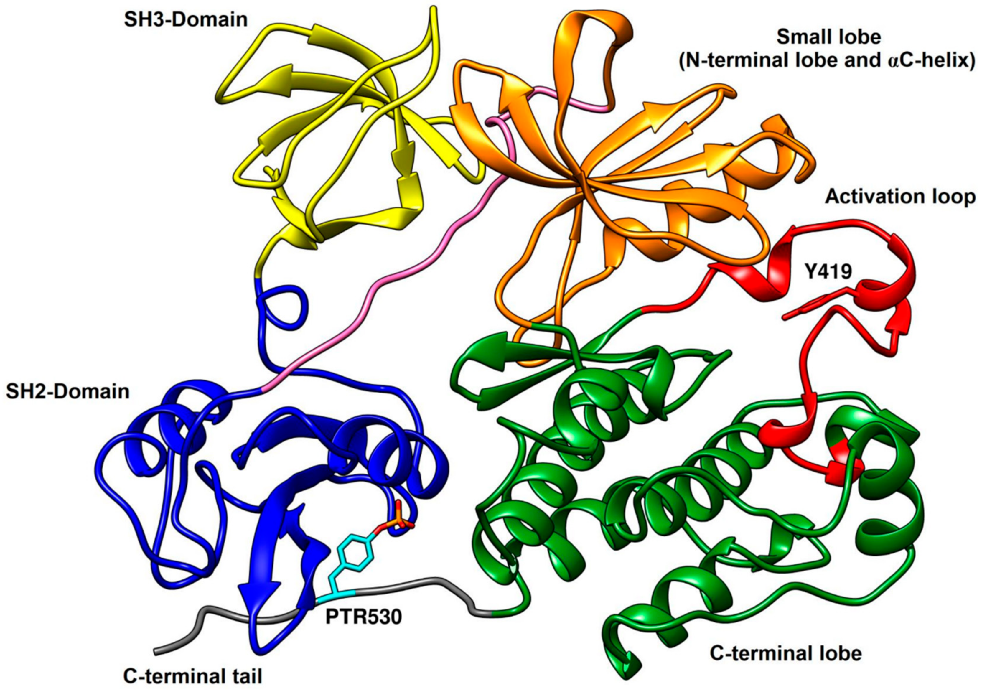 Cancers 12 02327 g001