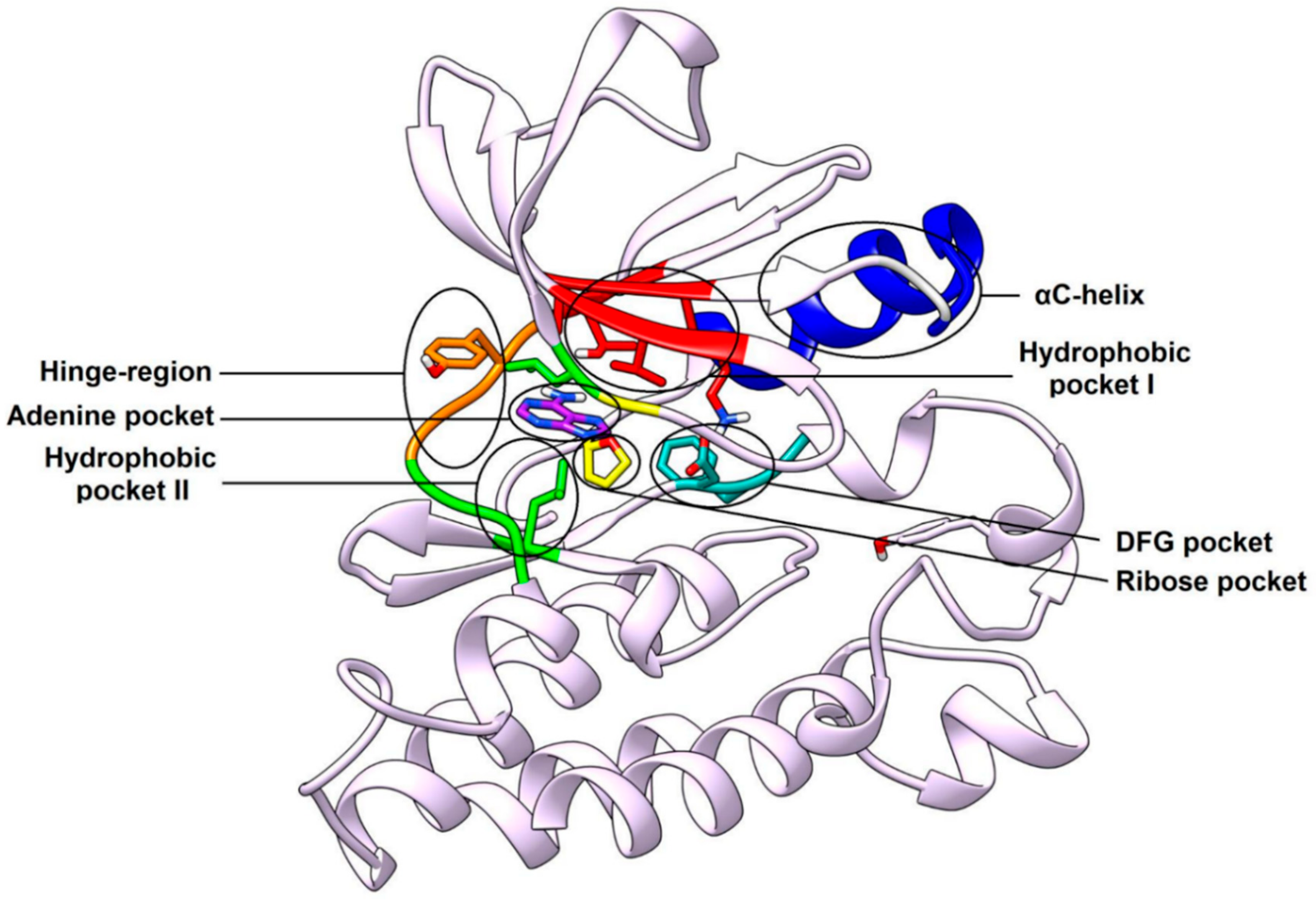 Cancers 12 02327 g002