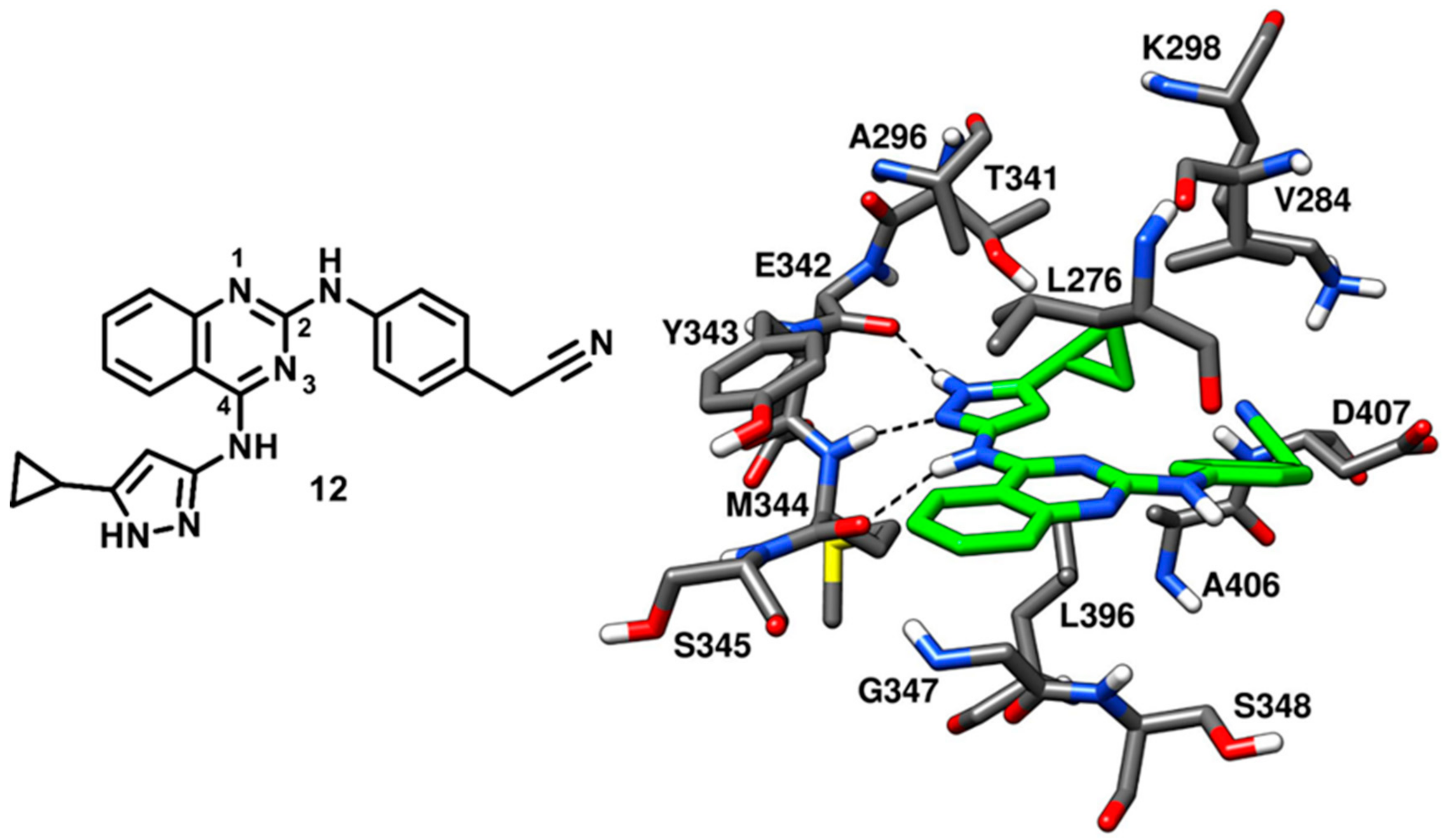 Cancers 12 02327 g013