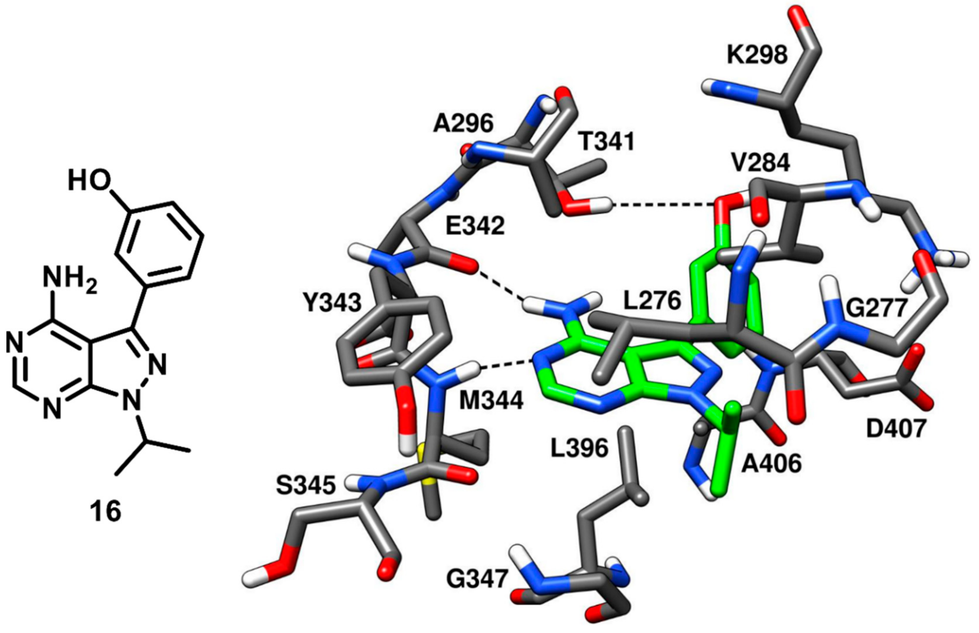 Cancers 12 02327 g016