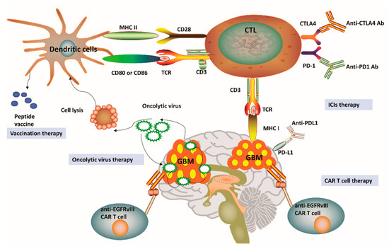Cancers 12 02334 g002 550