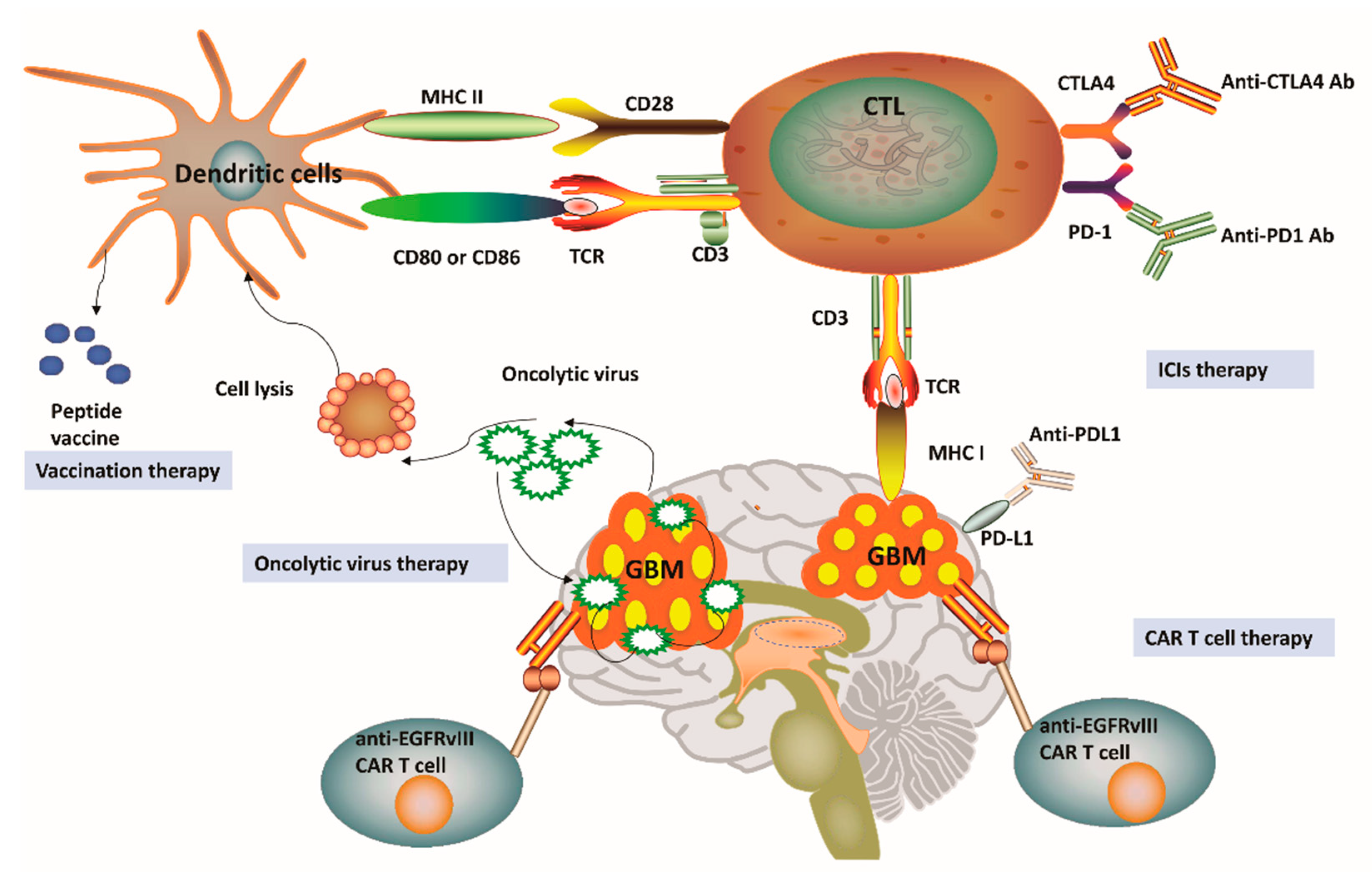 Cancers 12 02334 g002