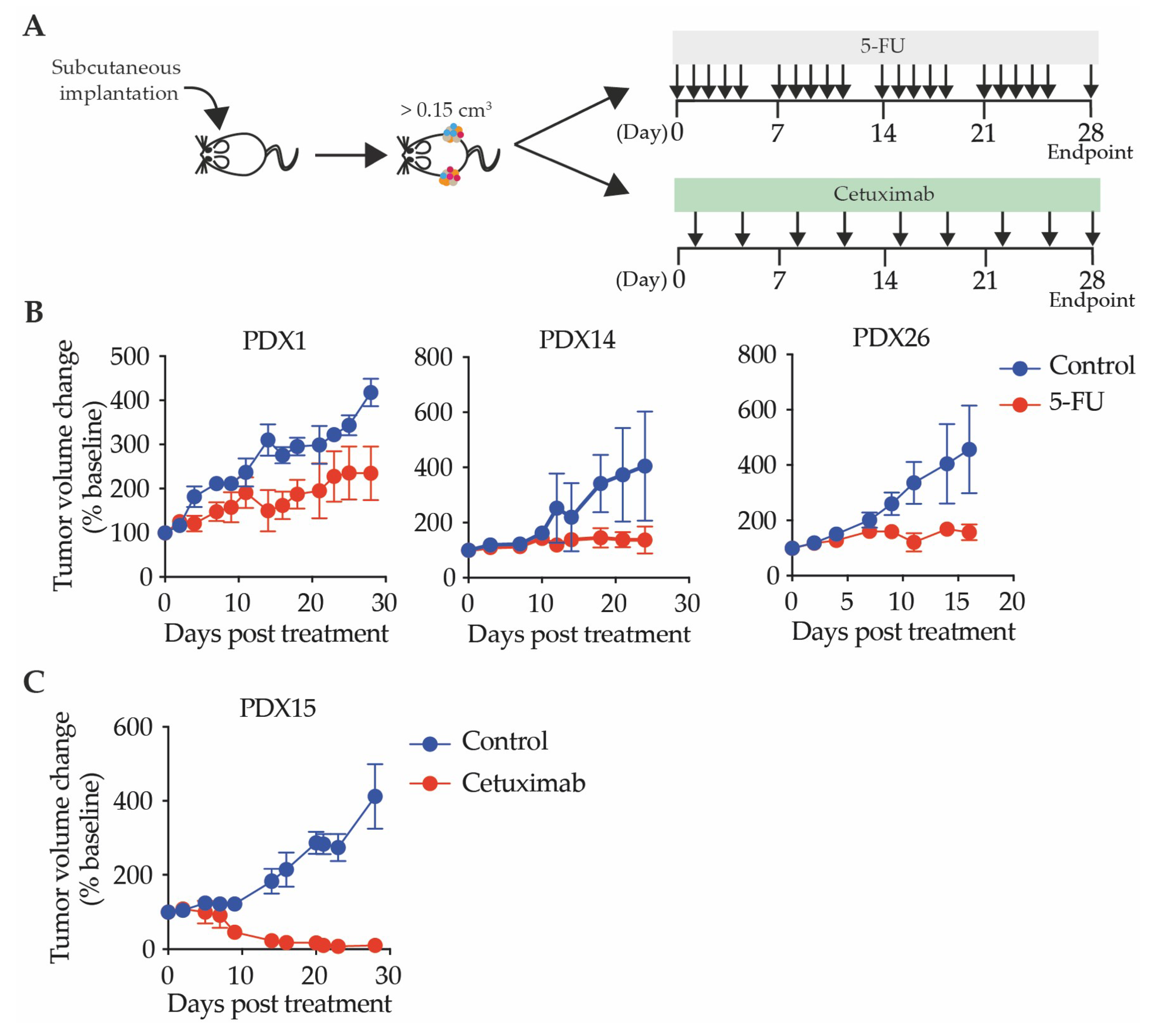 Cancers 12 02340 g006 Cancers 12 02340 g006