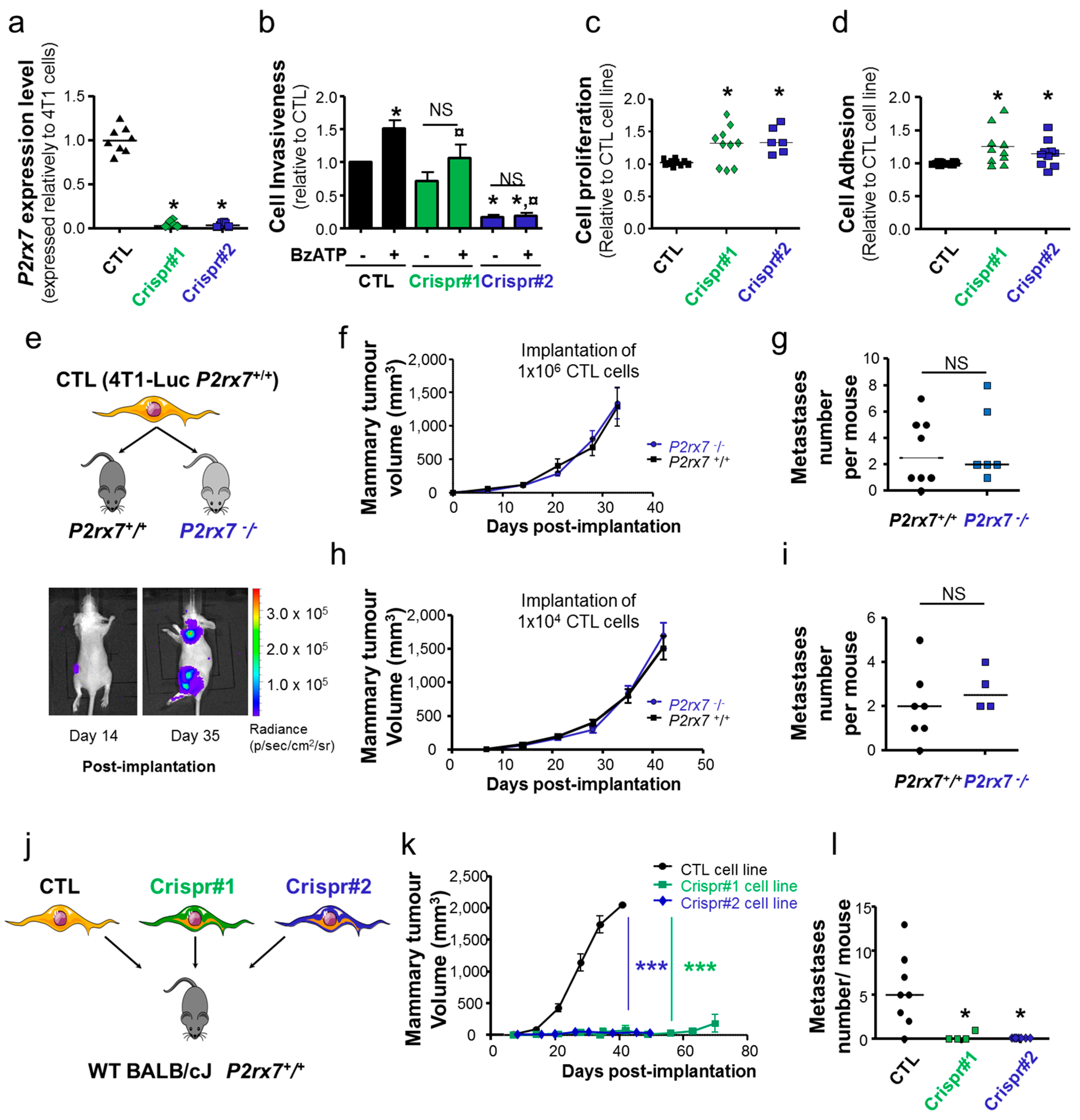 Cancers 12 02342 g004