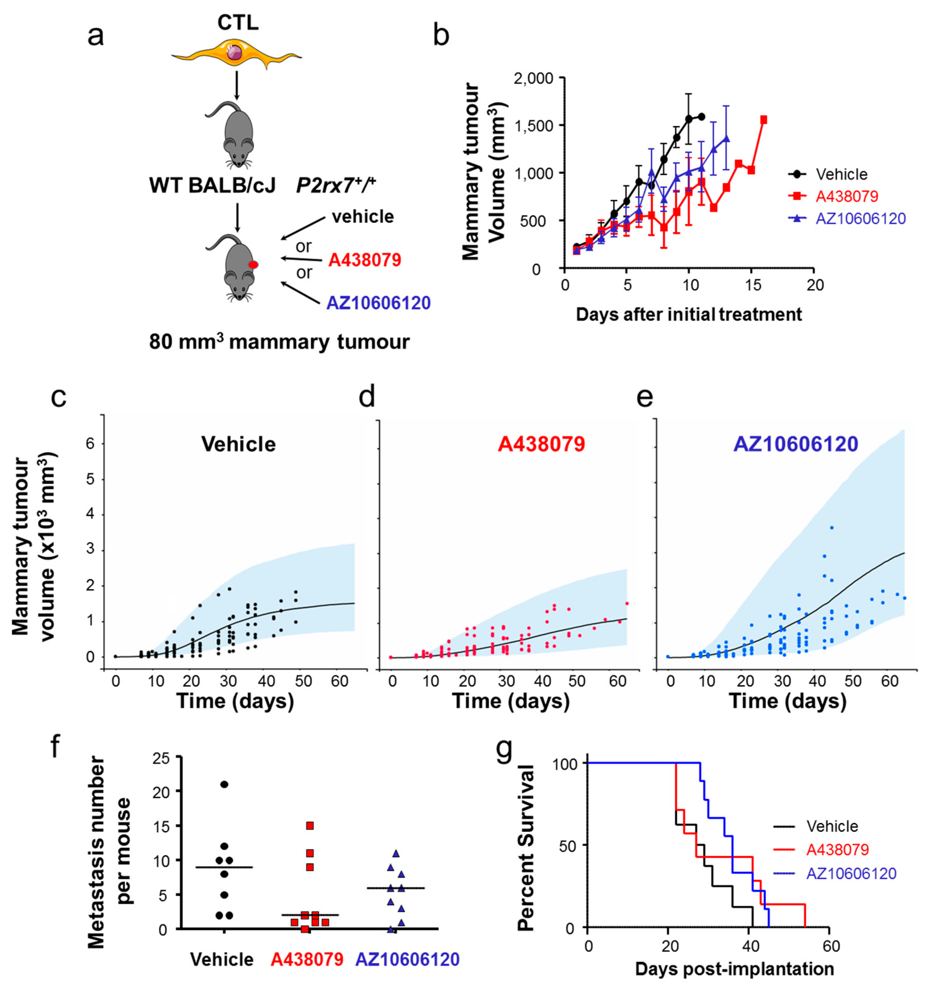 Cancers 12 02342 g005