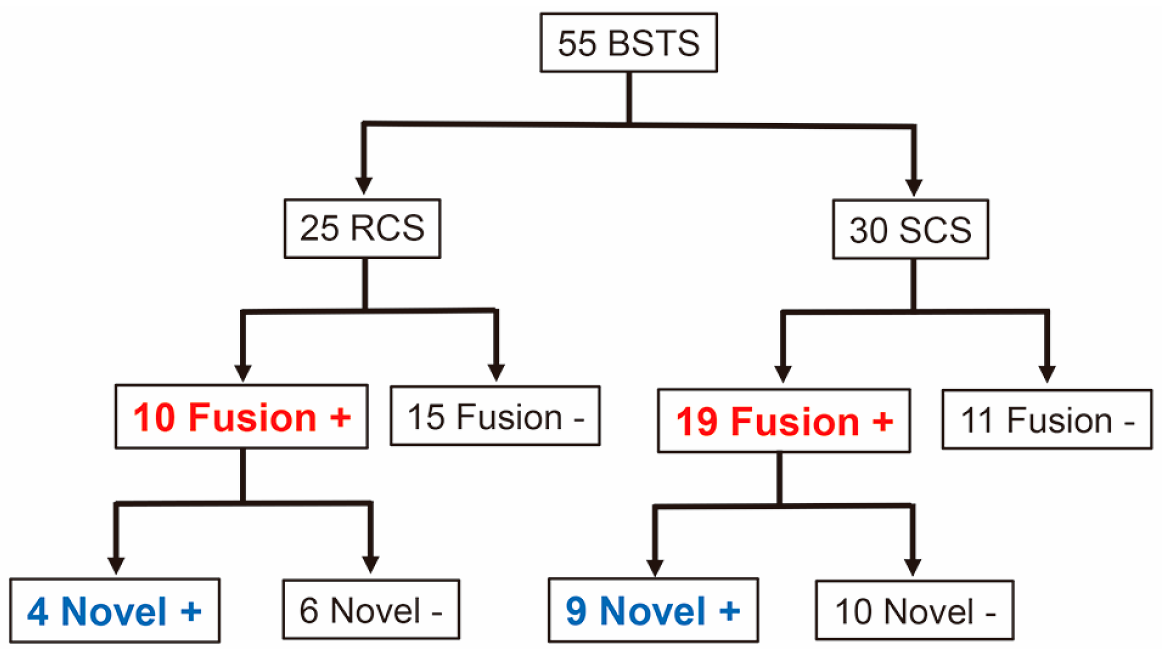 Cancers 12 02345 g001