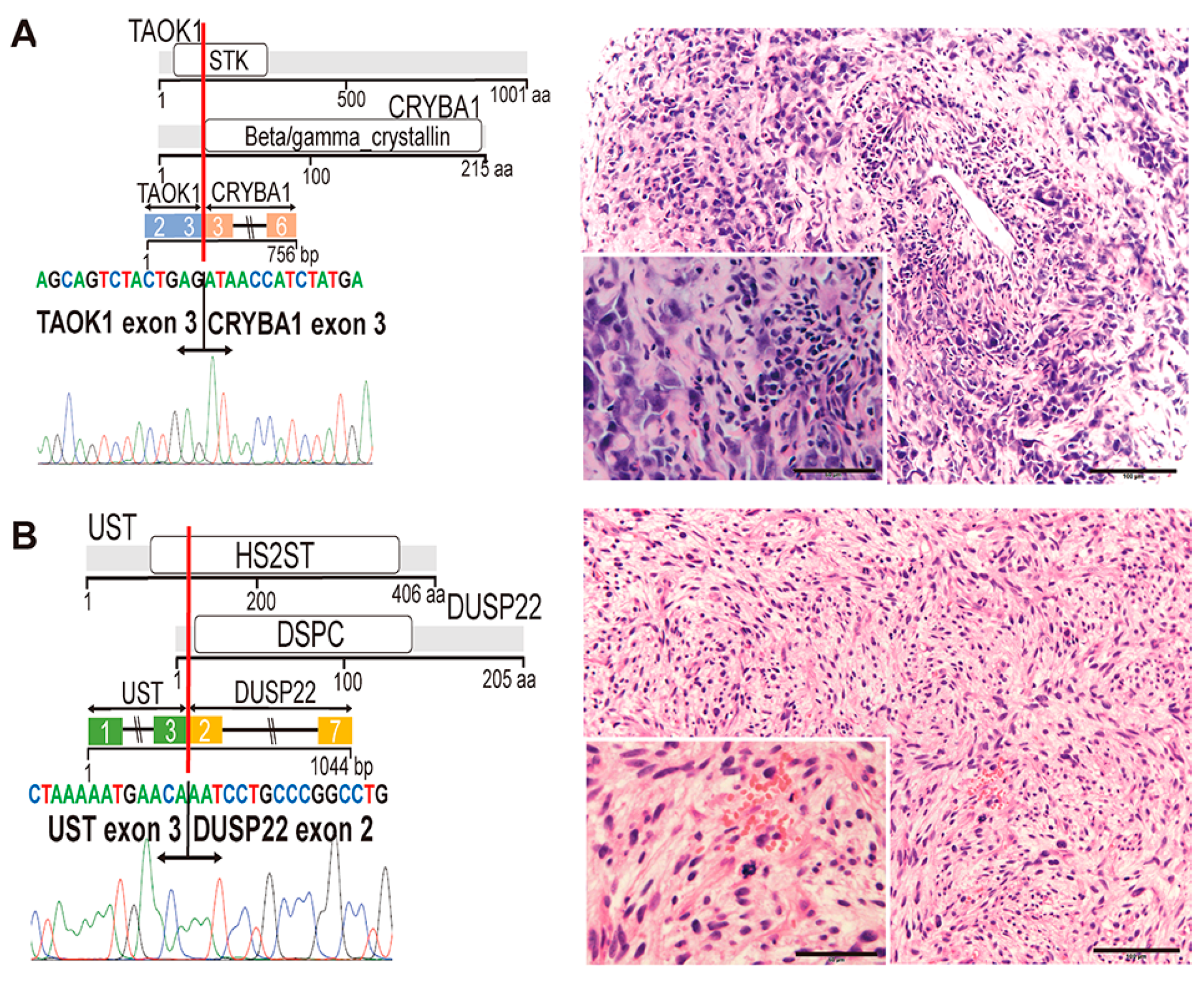 Cancers 12 02345 g003