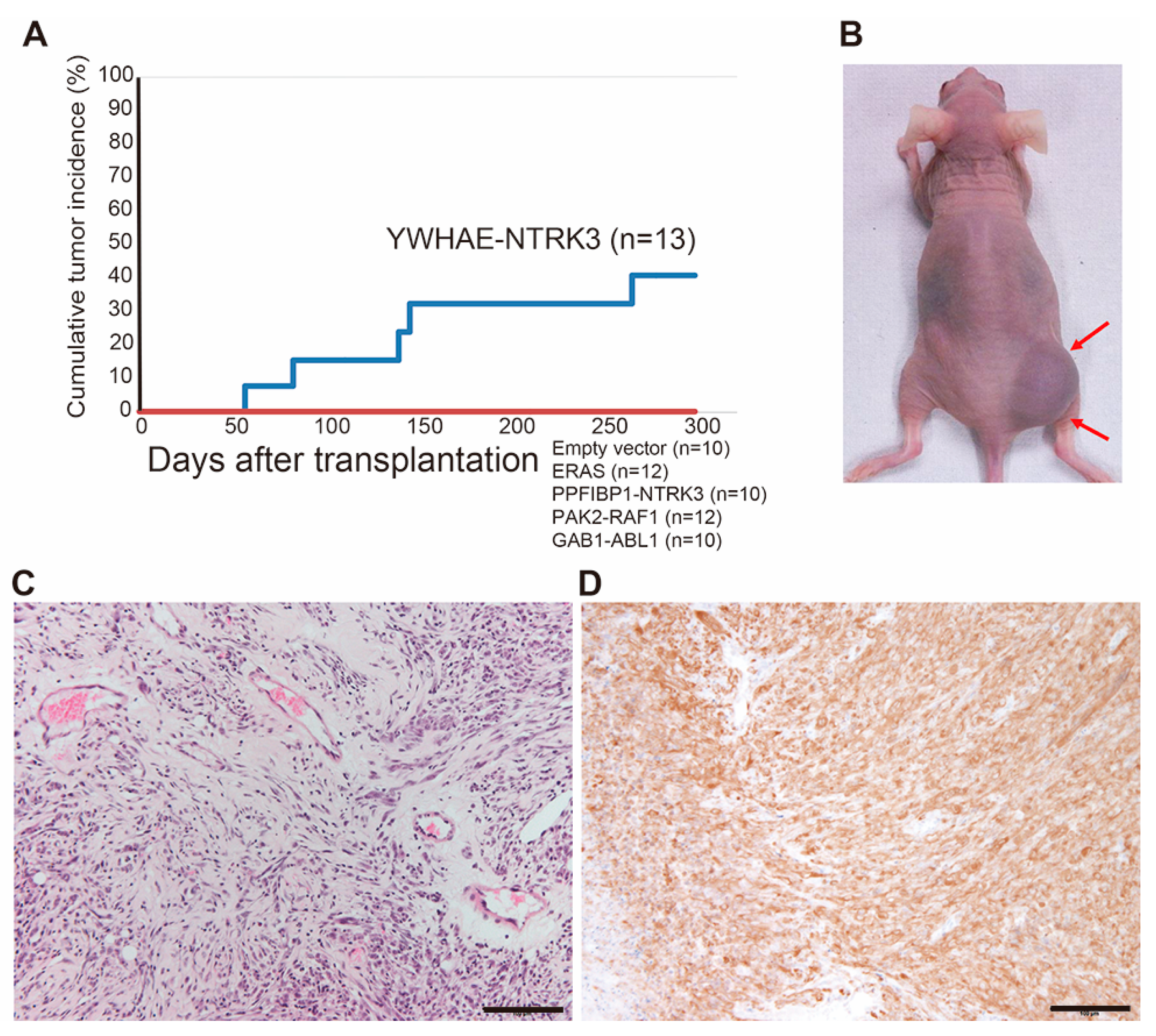 Cancers 12 02345 g005