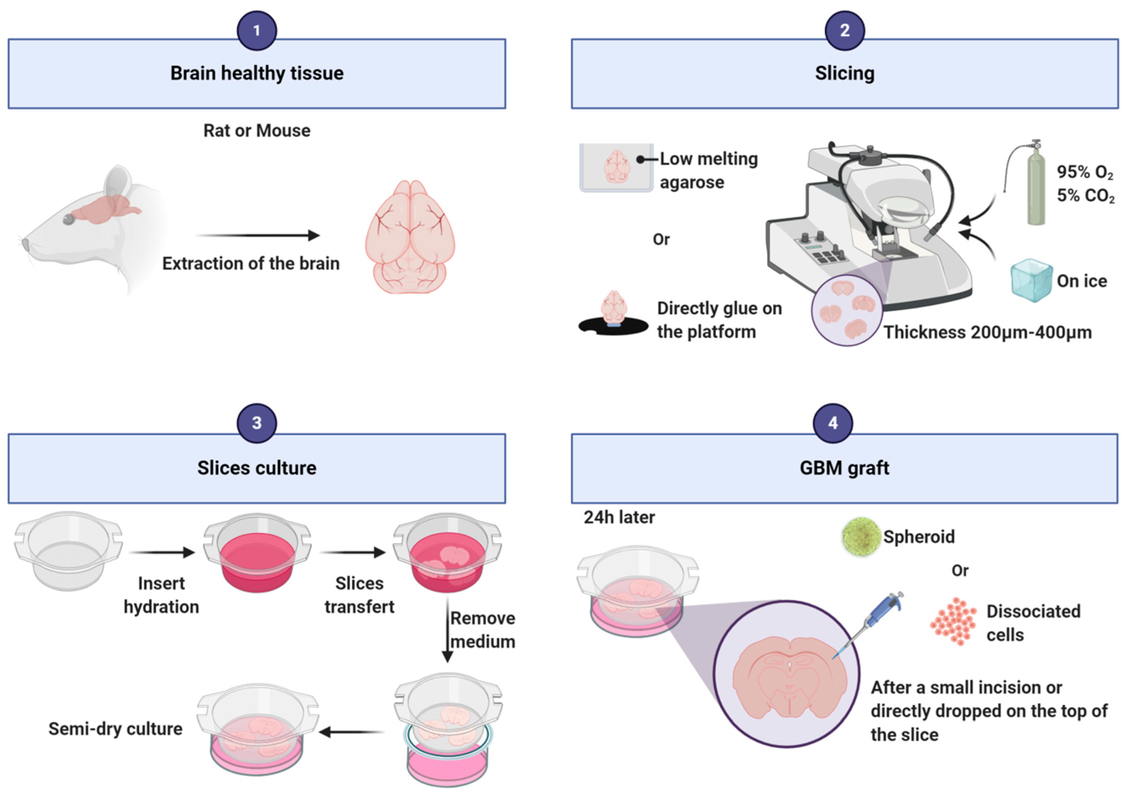 Cancers 12 02347 g003 Cancers 12 02347 g003