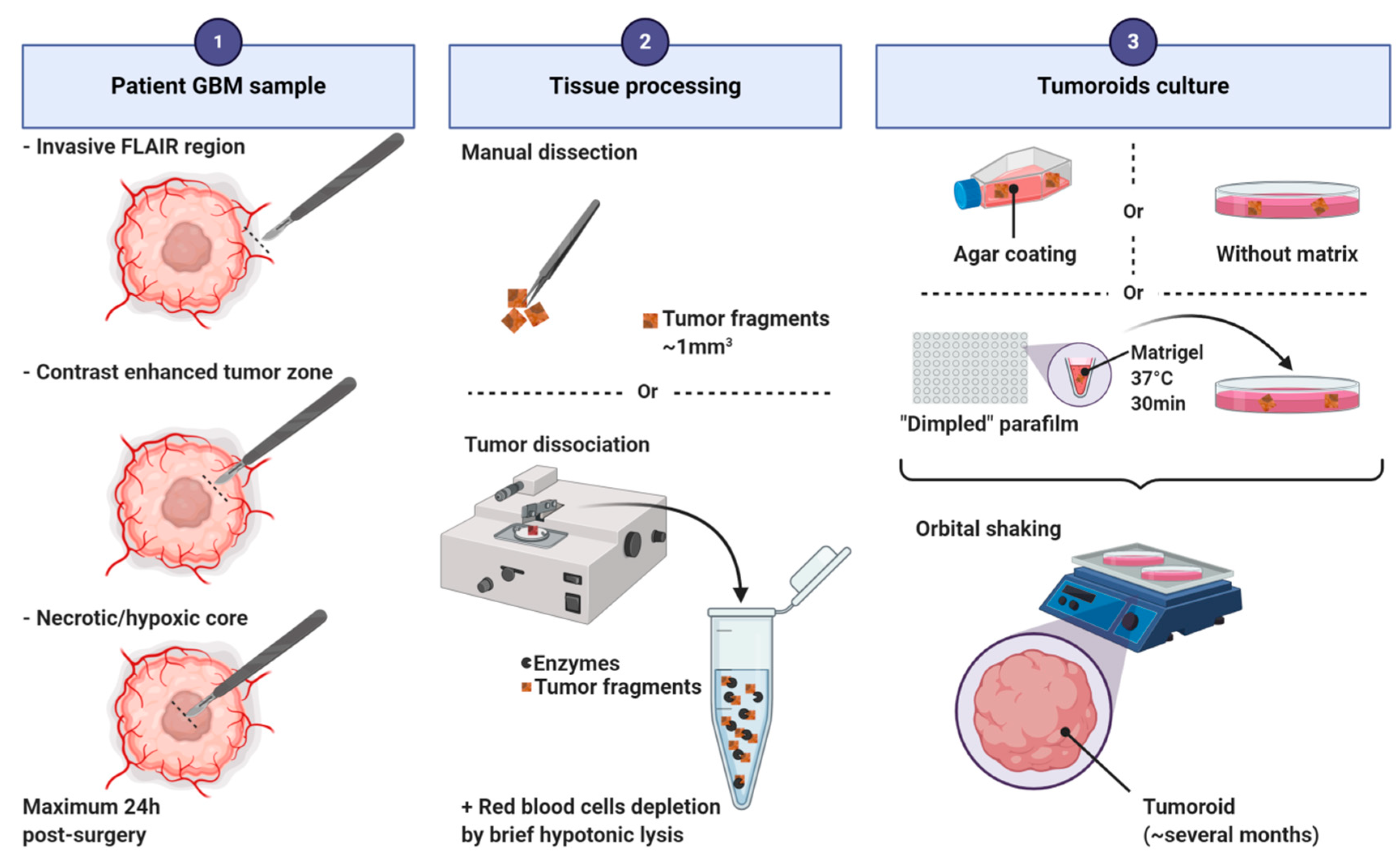 Cancers 12 02347 g005 Cancers 12 02347 g005