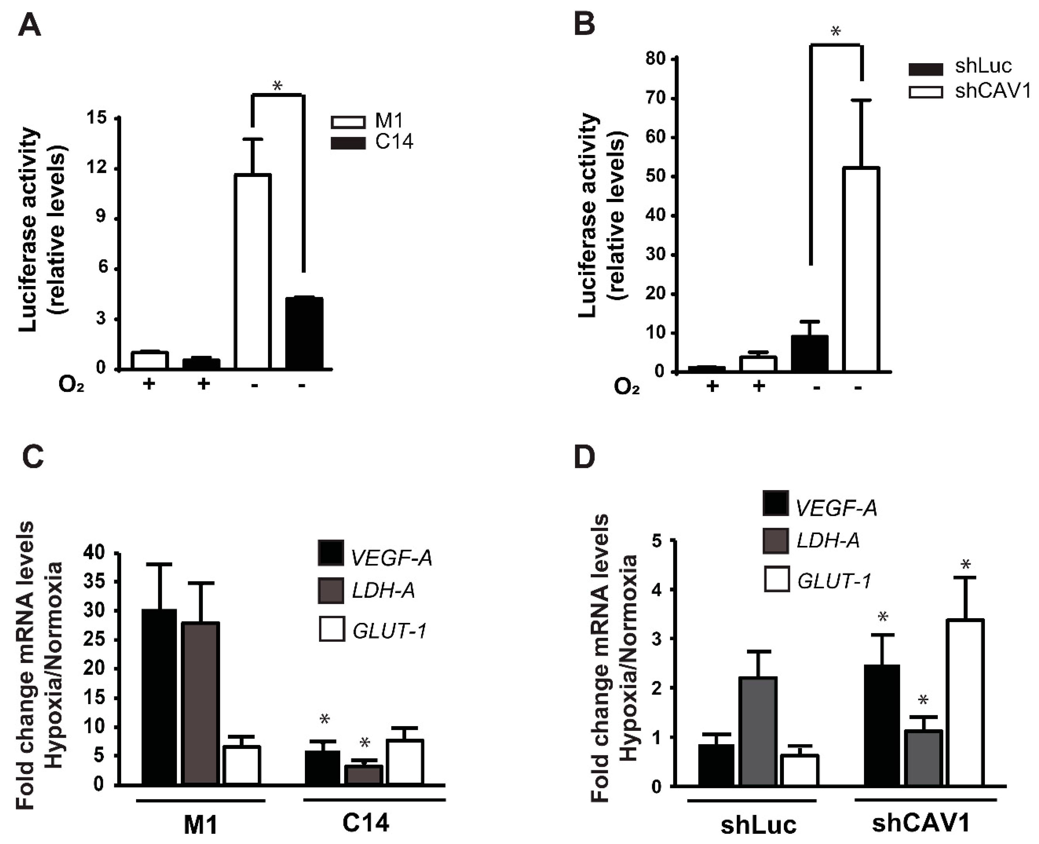 Cancers 12 02349 g002