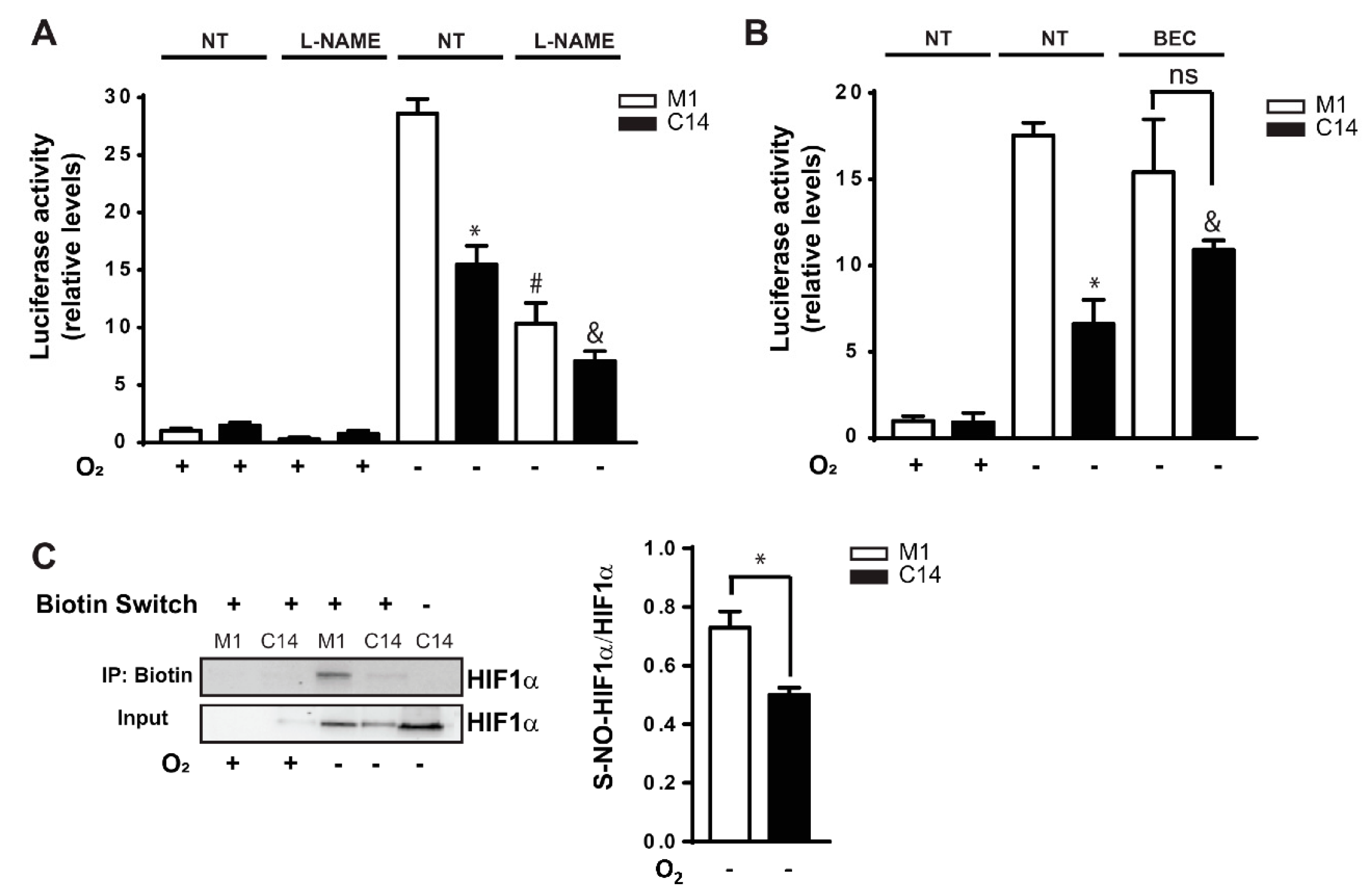 Cancers 12 02349 g004