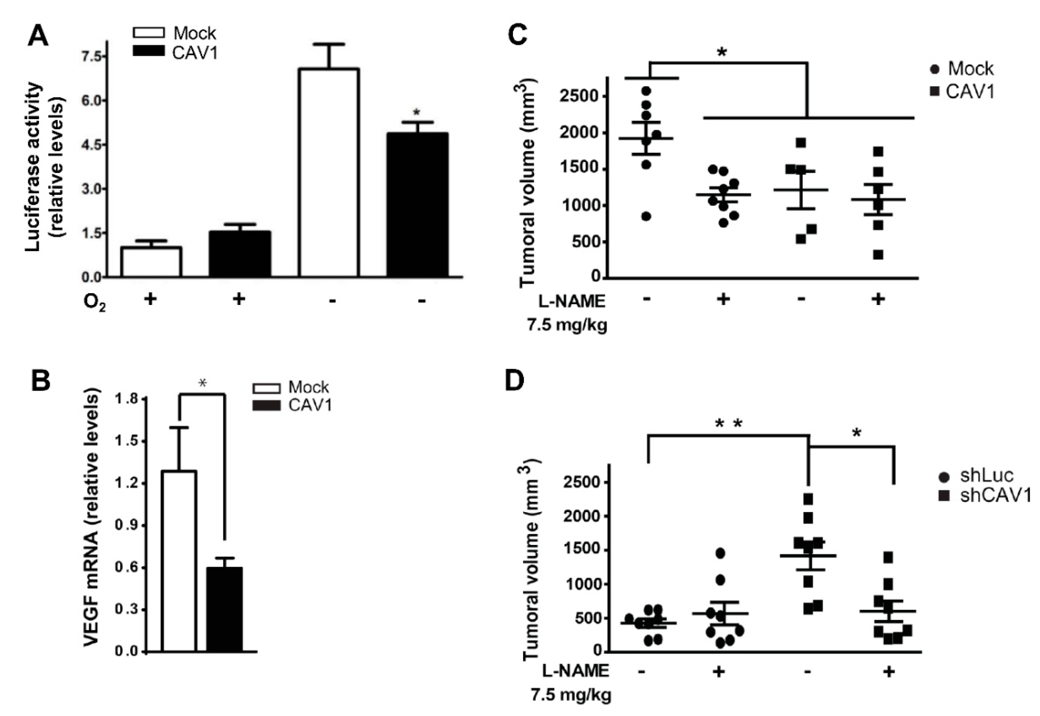 Cancers 12 02349 g005