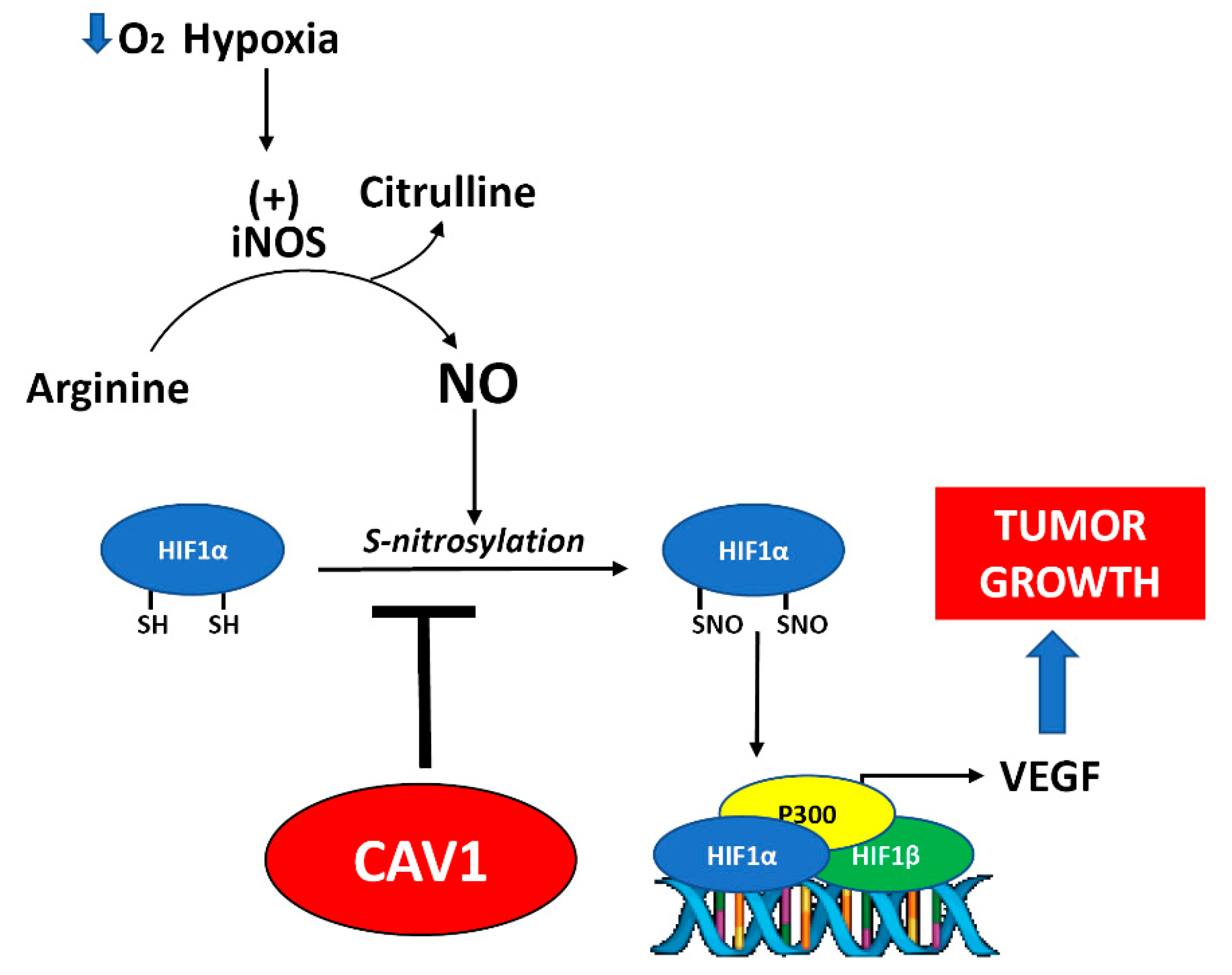 Cancers 12 02349 g006