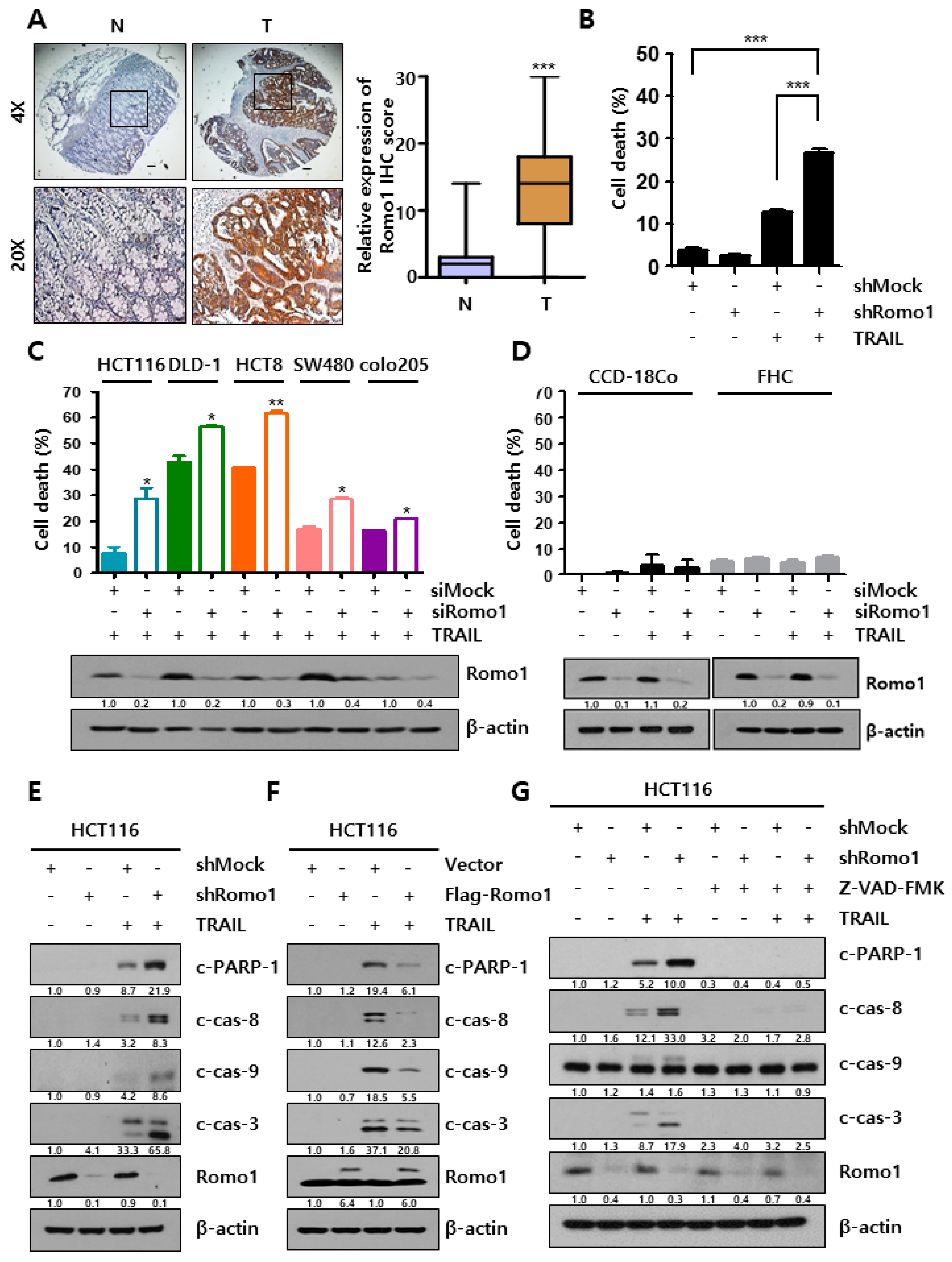 Cancers 12 02358 g001