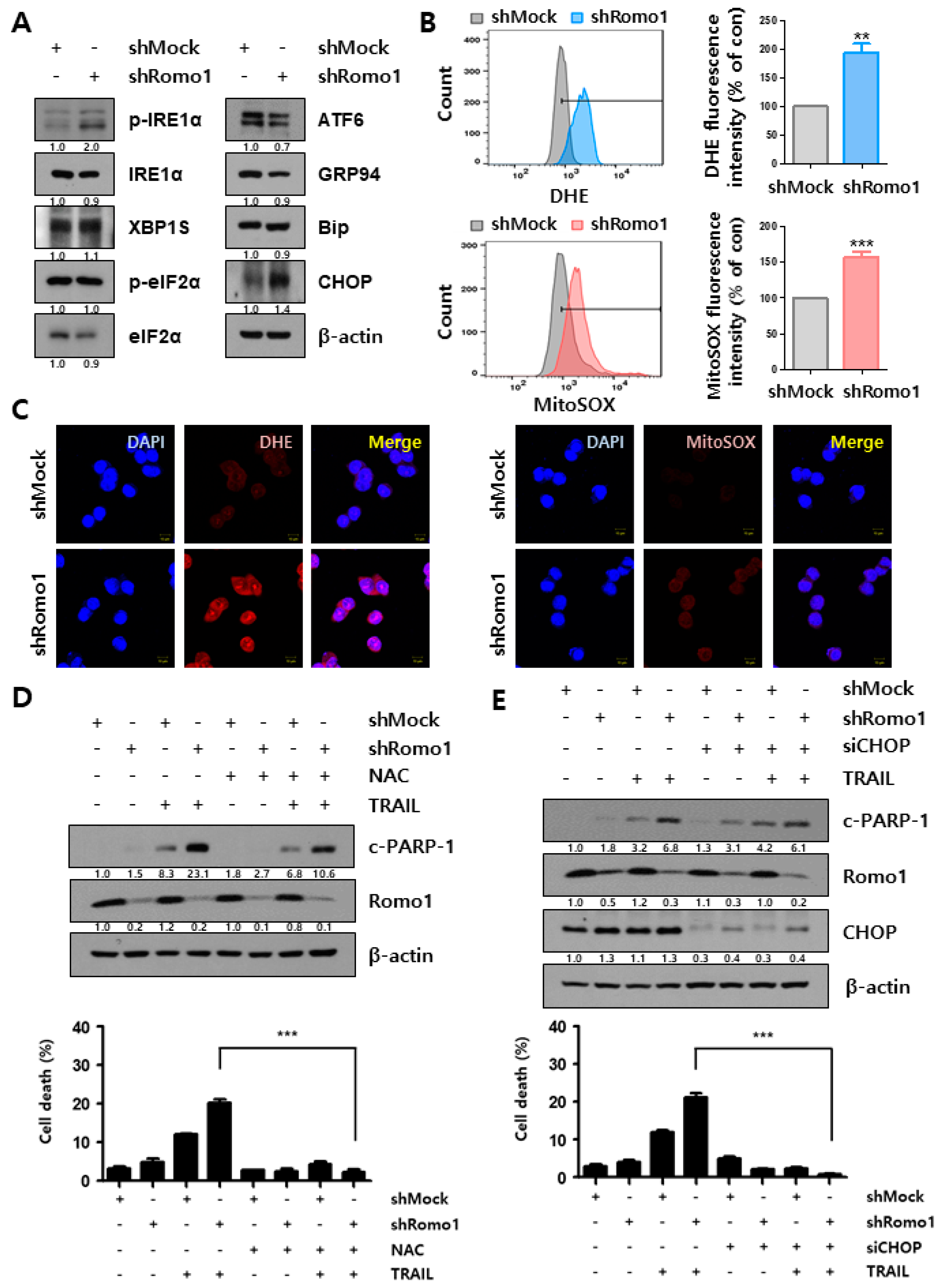 Cancers 12 02358 g004
