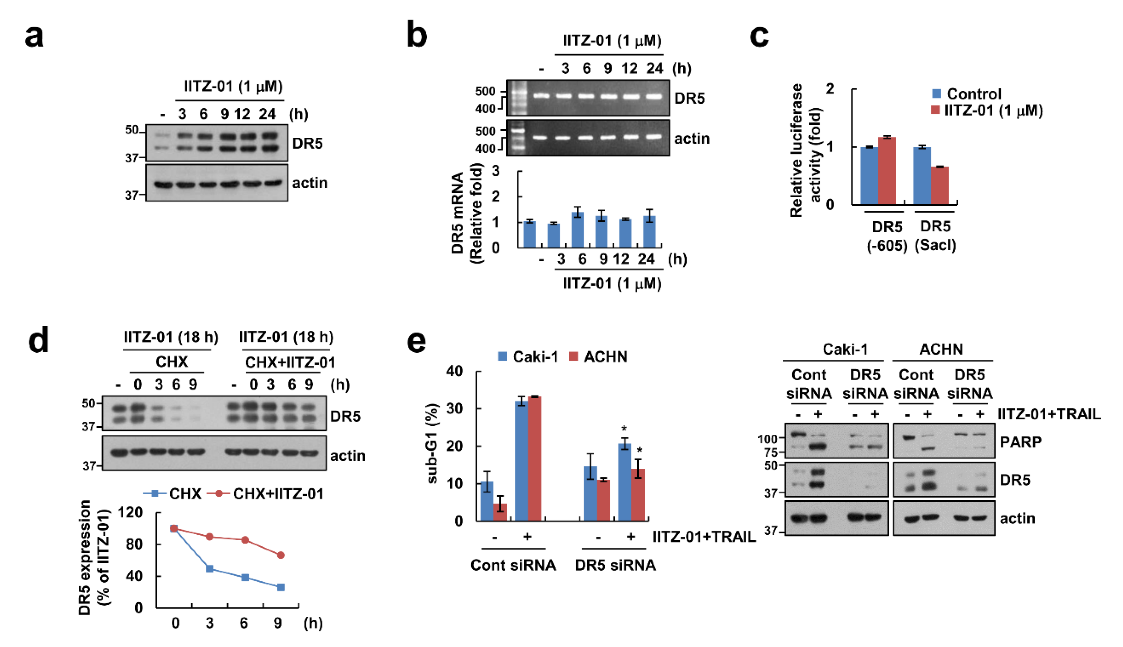Cancers 12 02363 g003