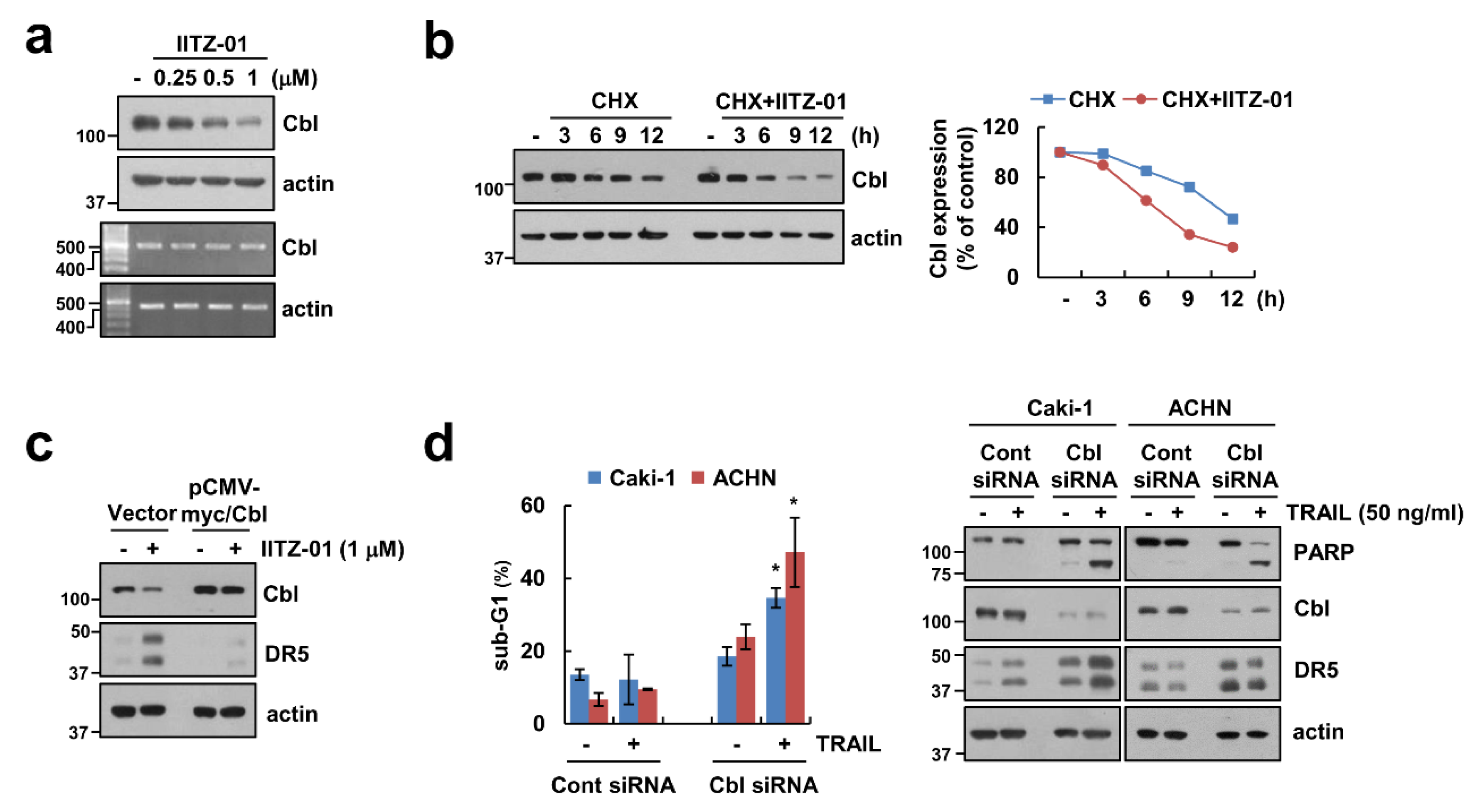 Cancers 12 02363 g004
