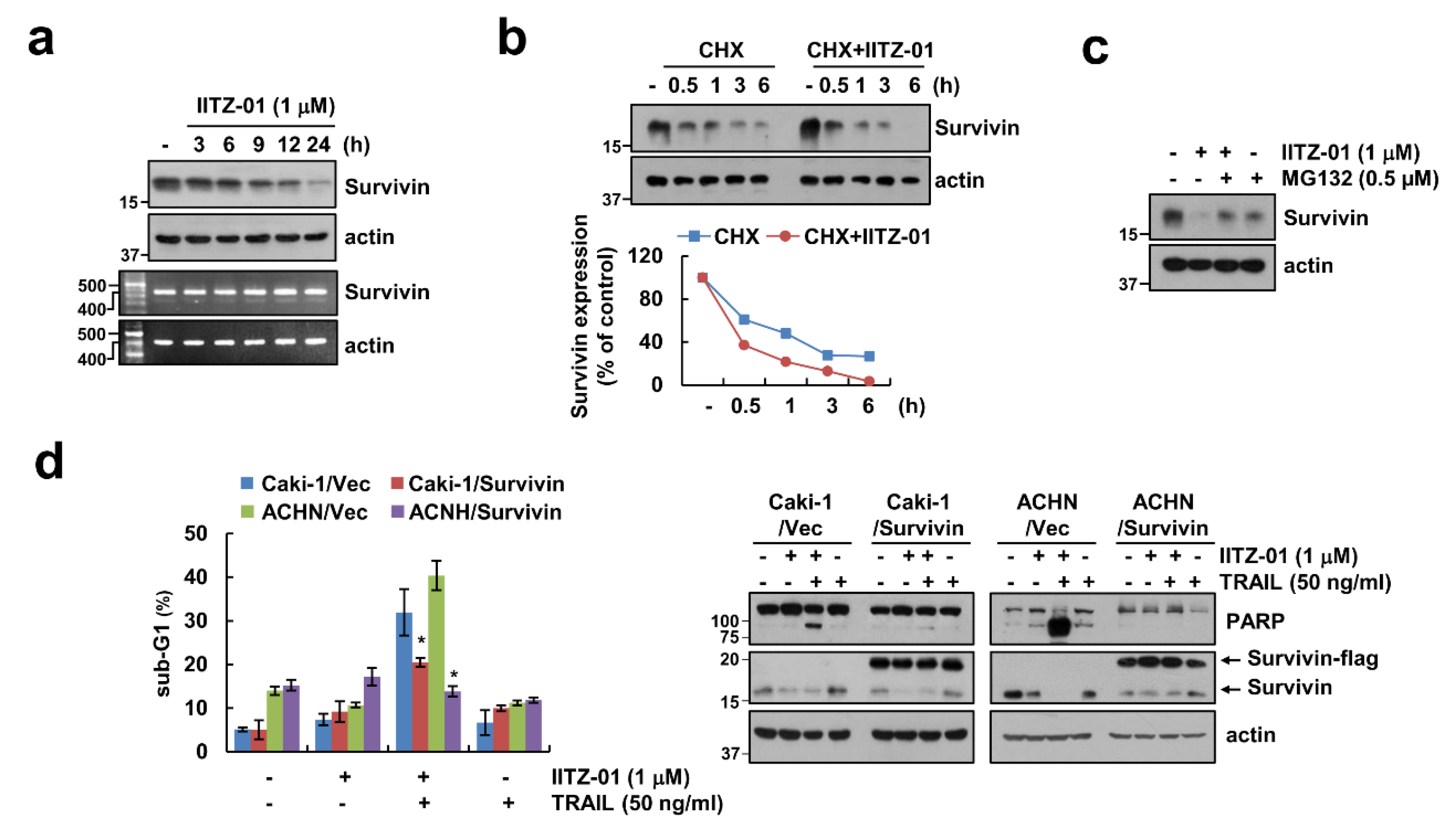 Cancers 12 02363 g005