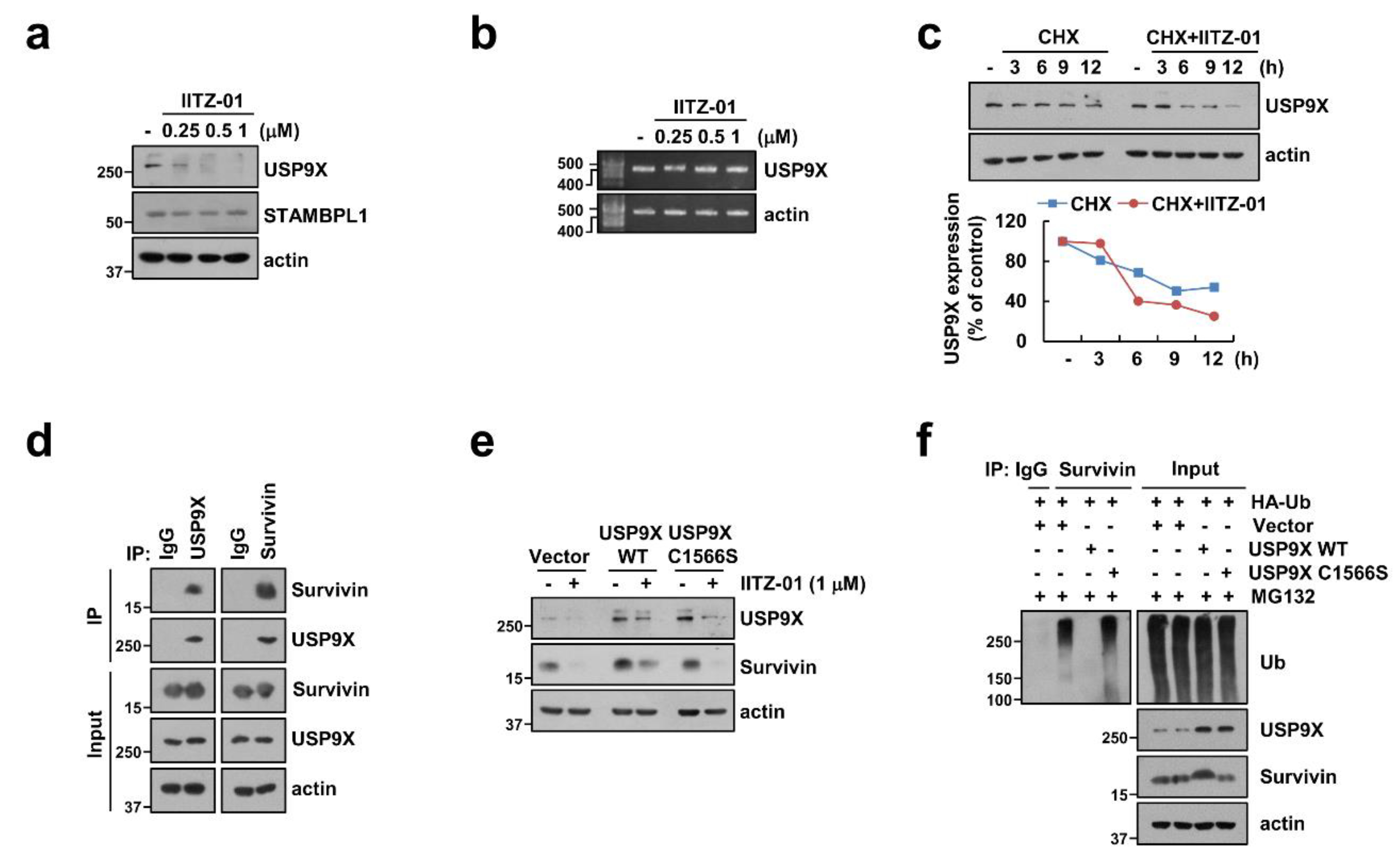 Cancers 12 02363 g006