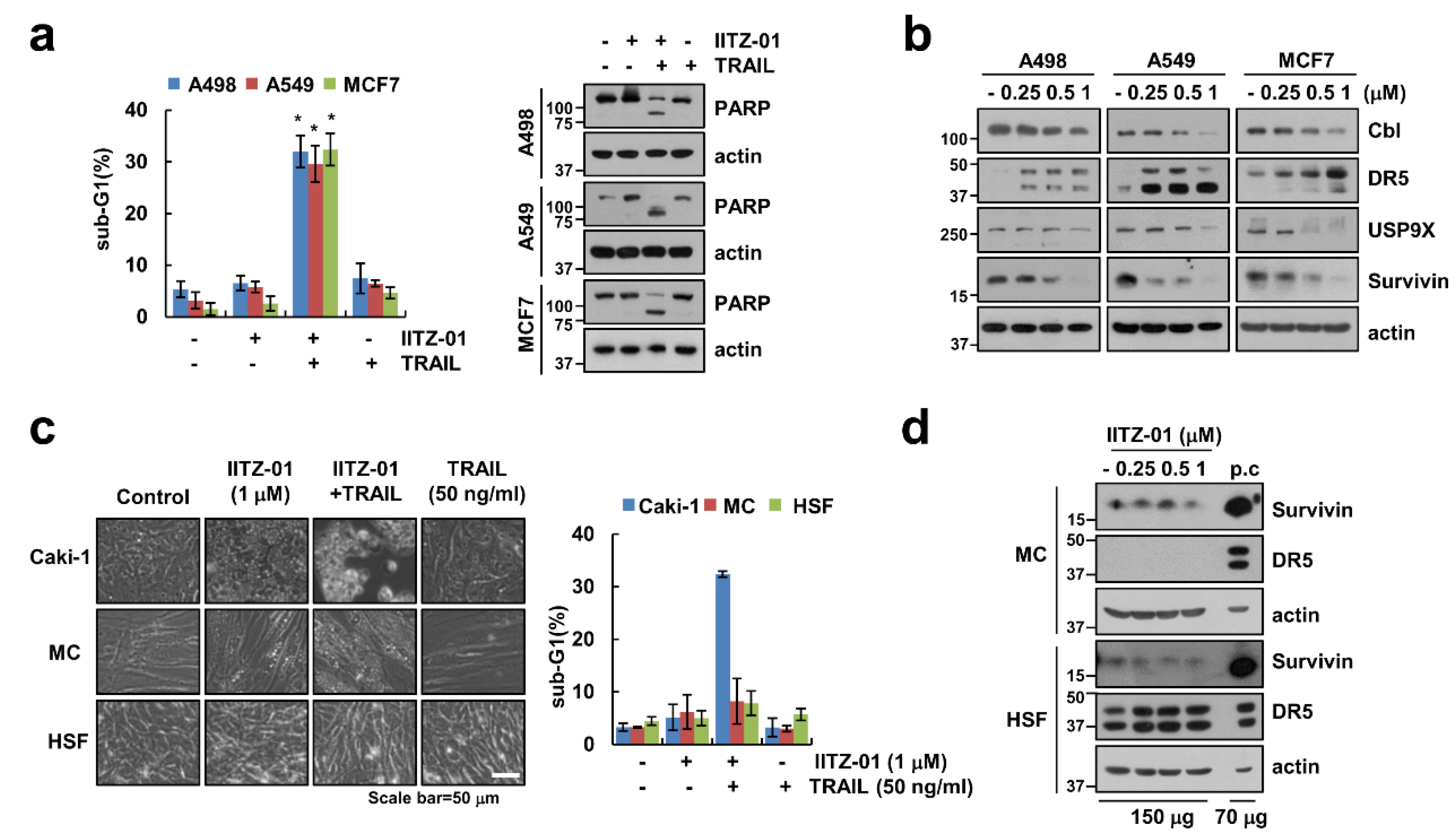Cancers 12 02363 g007
