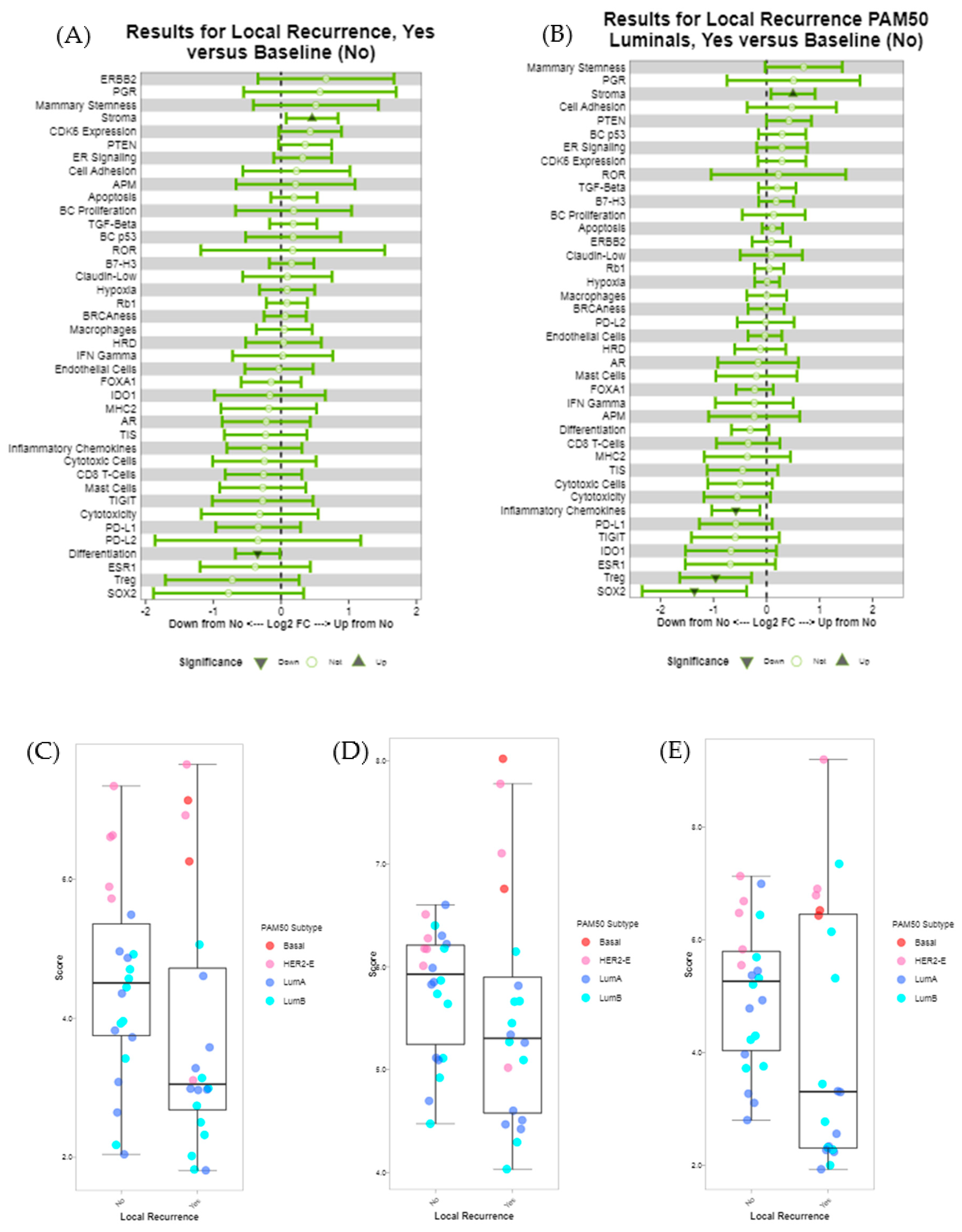 Cancers 12 02365 g005 Cancers 12 02365 g005