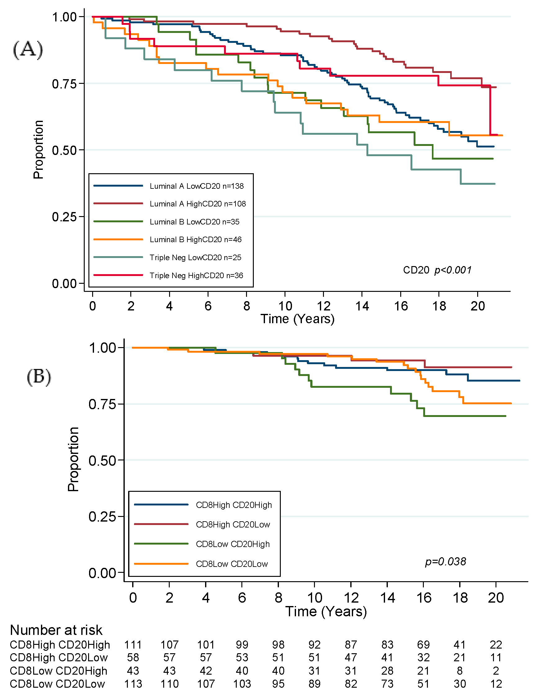 Cancers 12 02365 g006a Cancers 12 02365 g006a