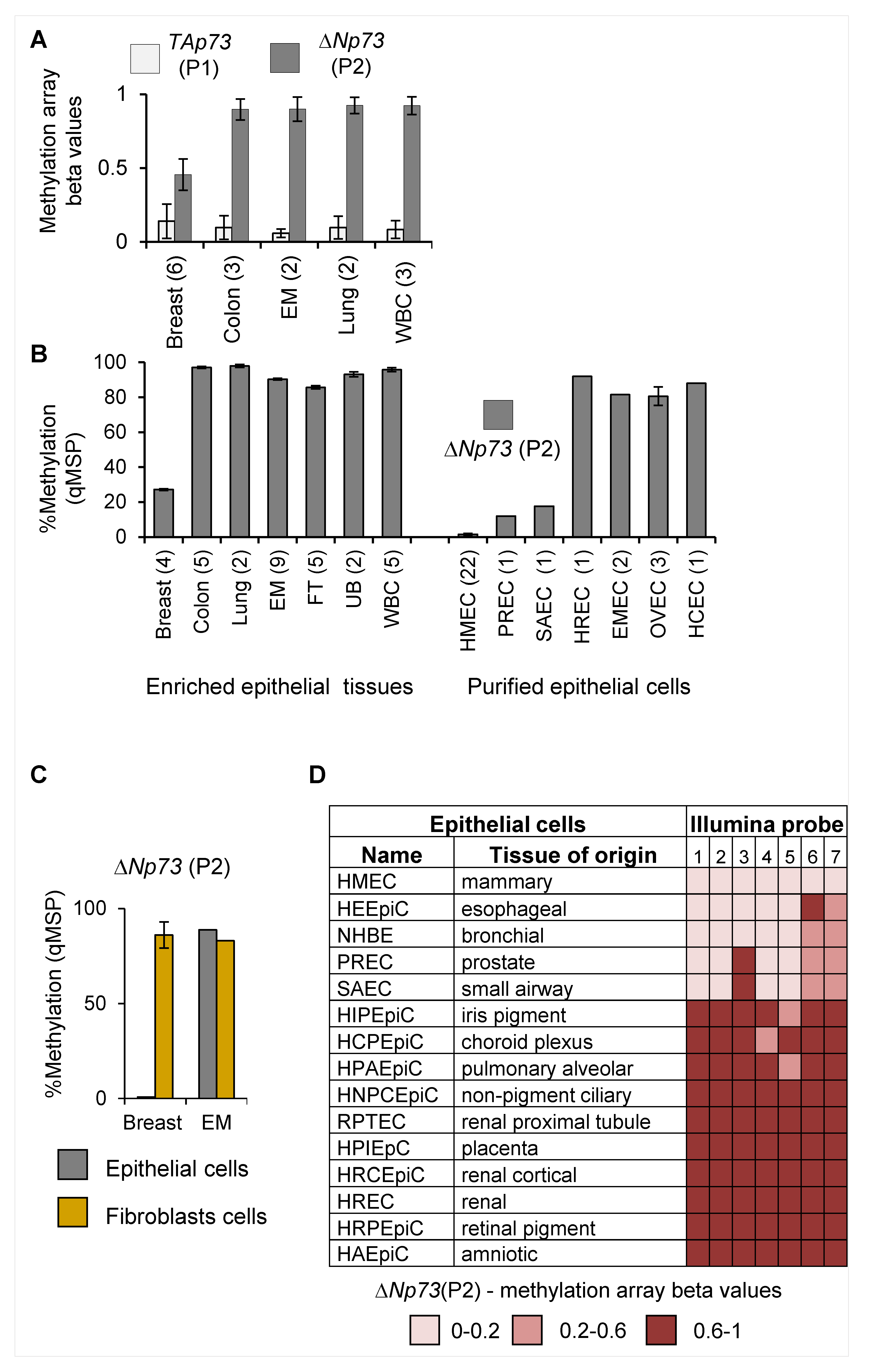 Cancers 12 02367 g001 Cancers 12 02367 g001