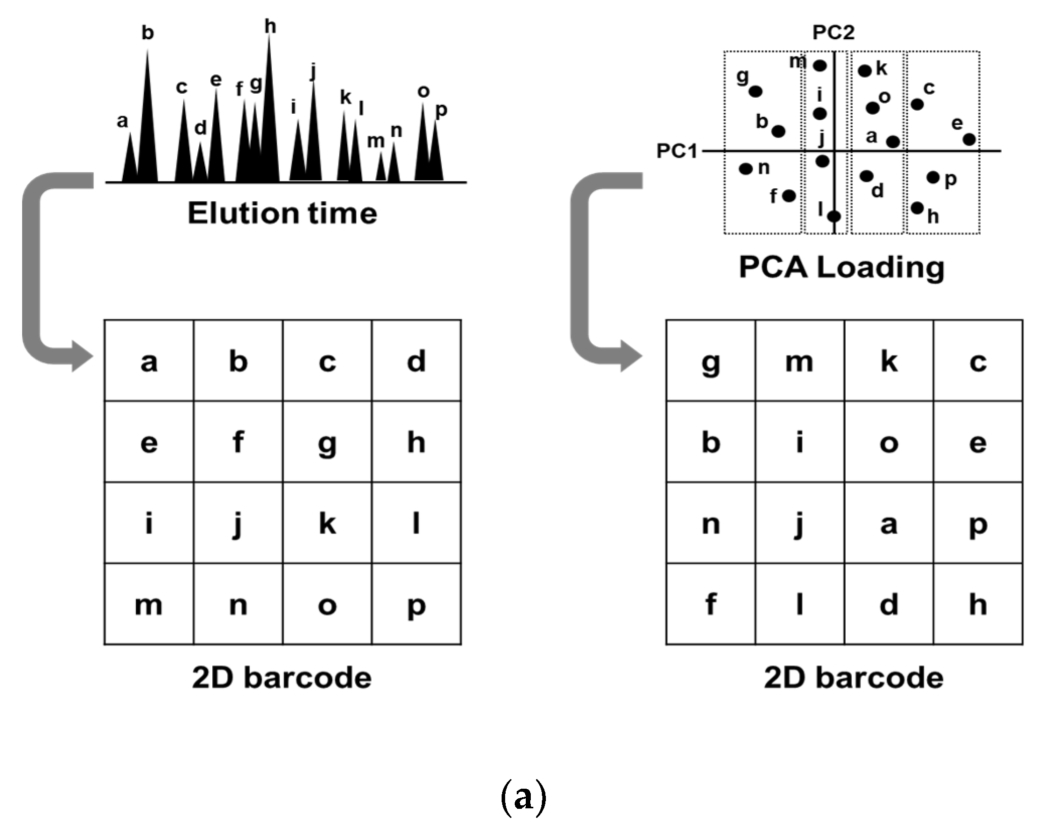 Cancers 12 02373 g002a Cancers 12 02373 g002a