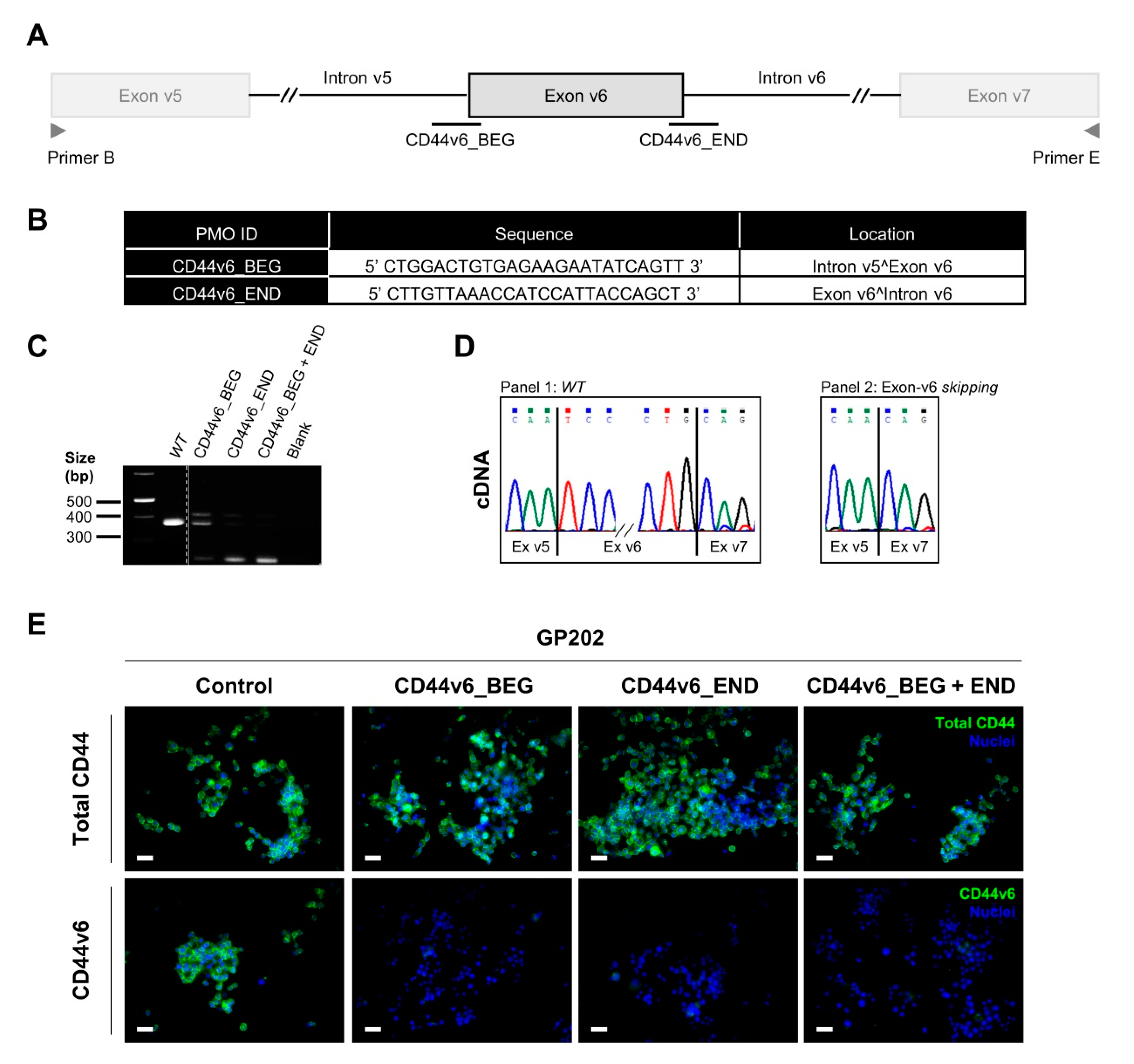 Cancers 12 02378 g006