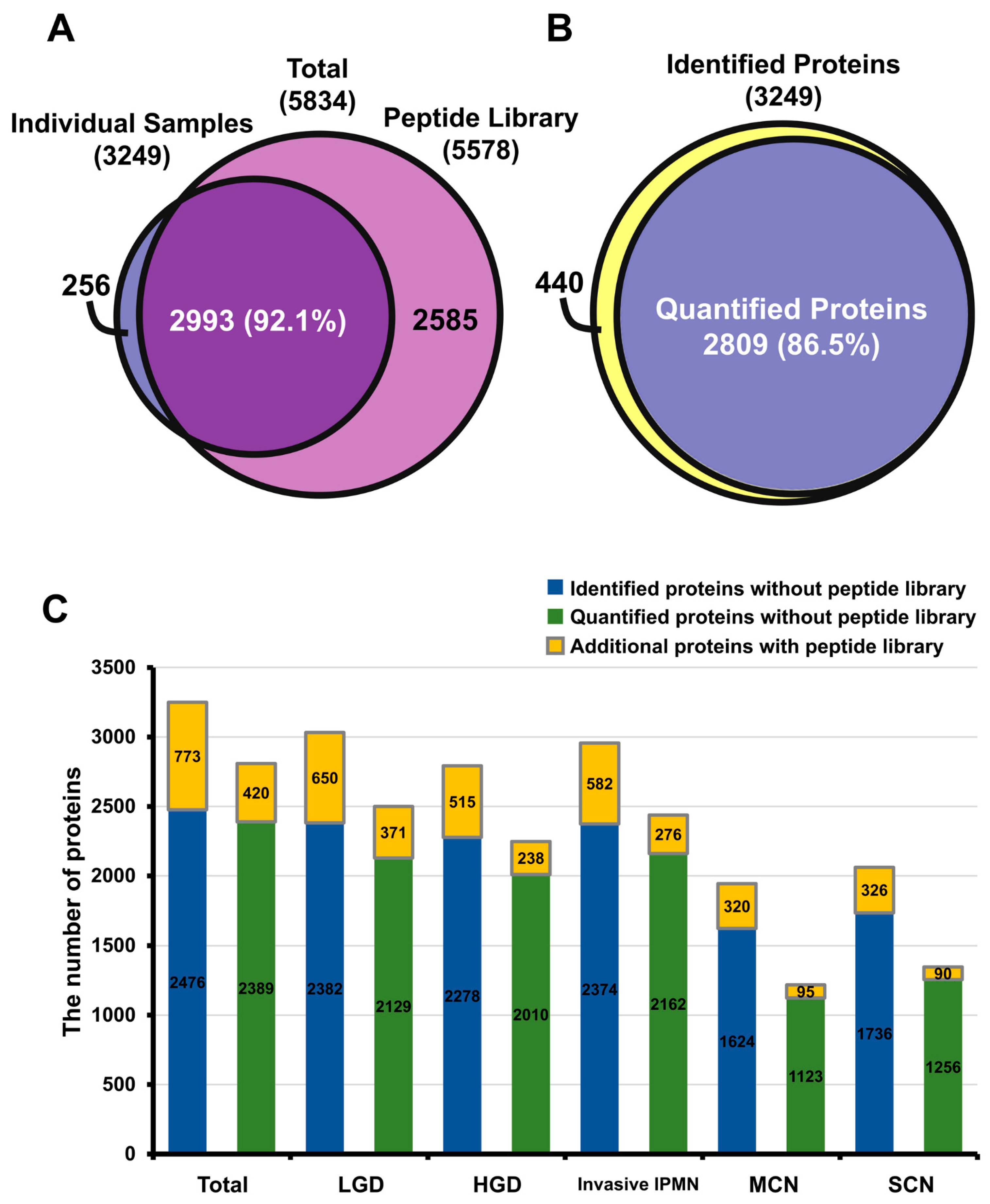 Cancers 12 02383 g002 Cancers 12 02383 g002