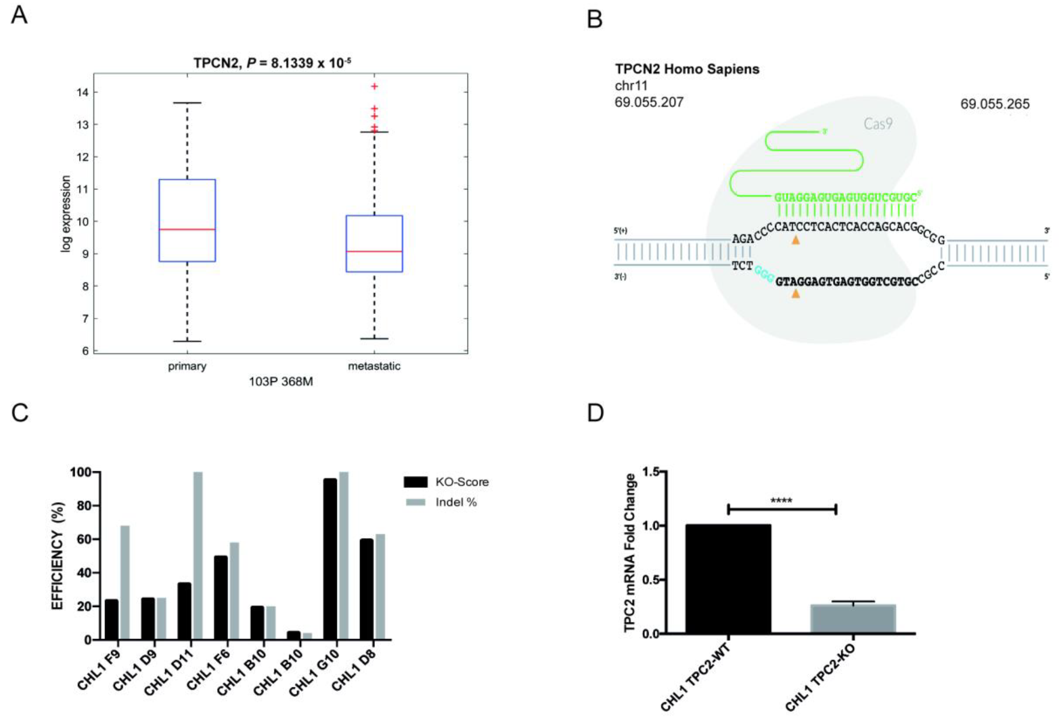 Cancers 12 02391 g001 Cancers 12 02391 g001