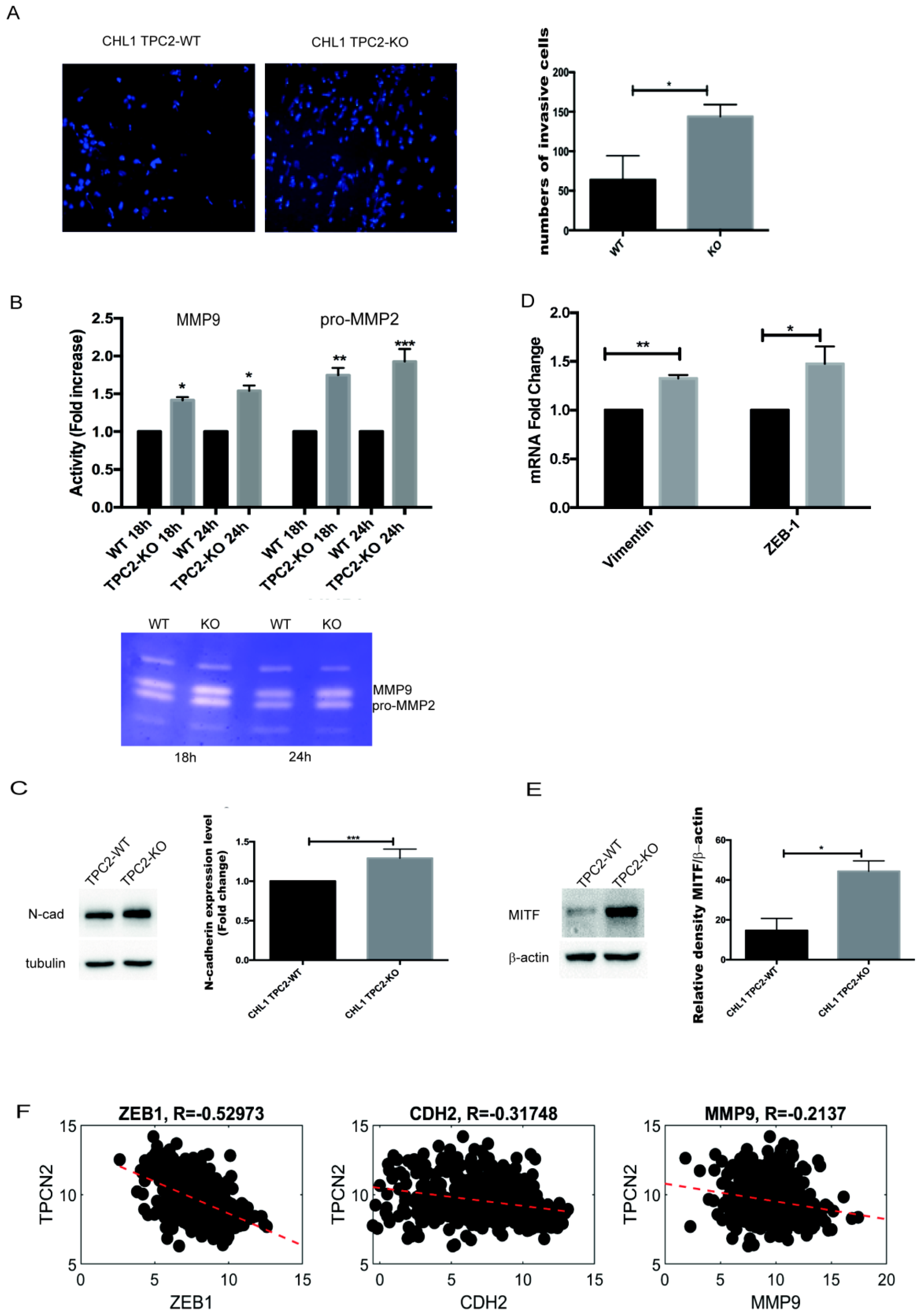 Cancers 12 02391 g003 Cancers 12 02391 g003