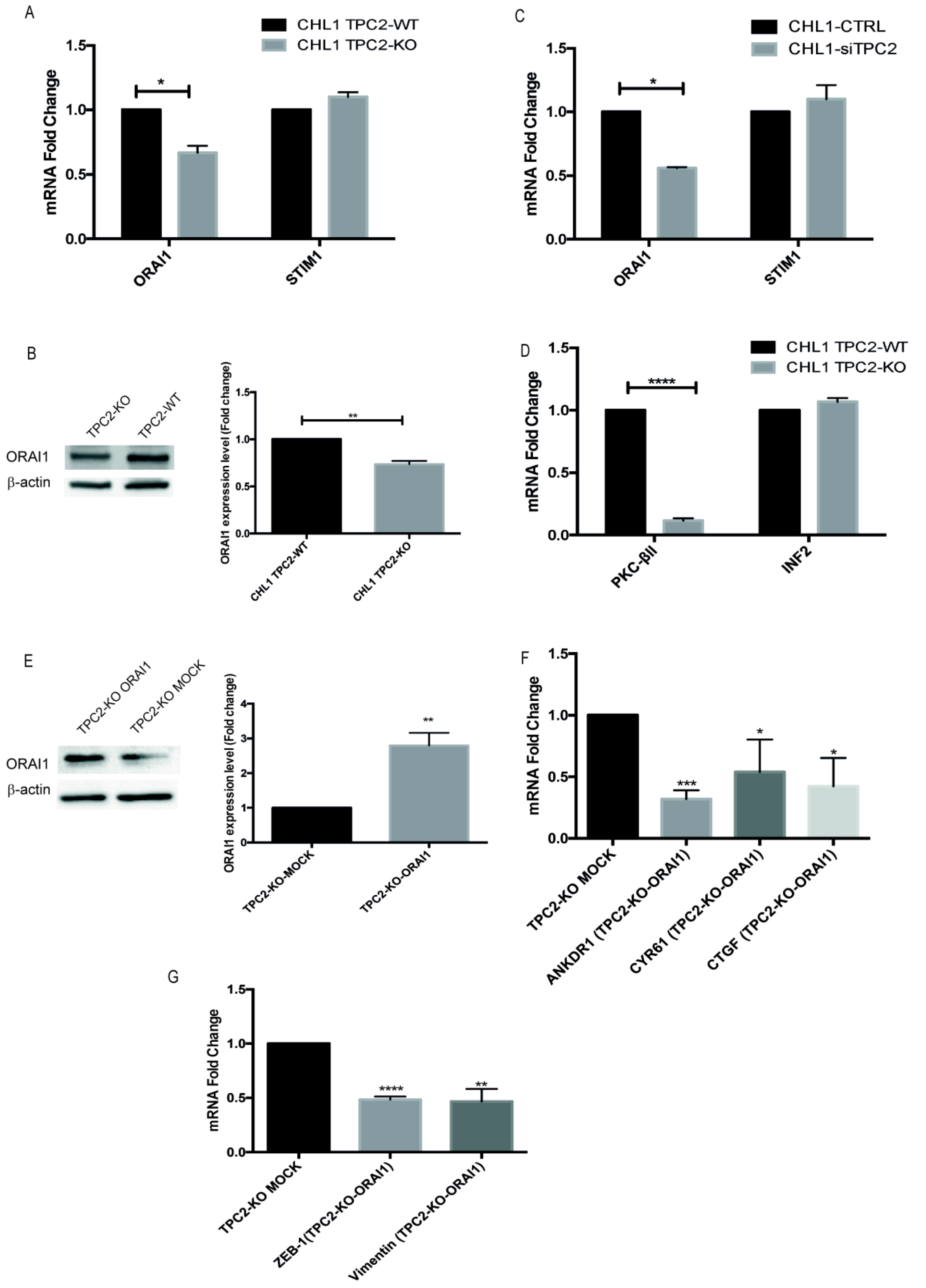 Cancers 12 02391 g005 Cancers 12 02391 g005