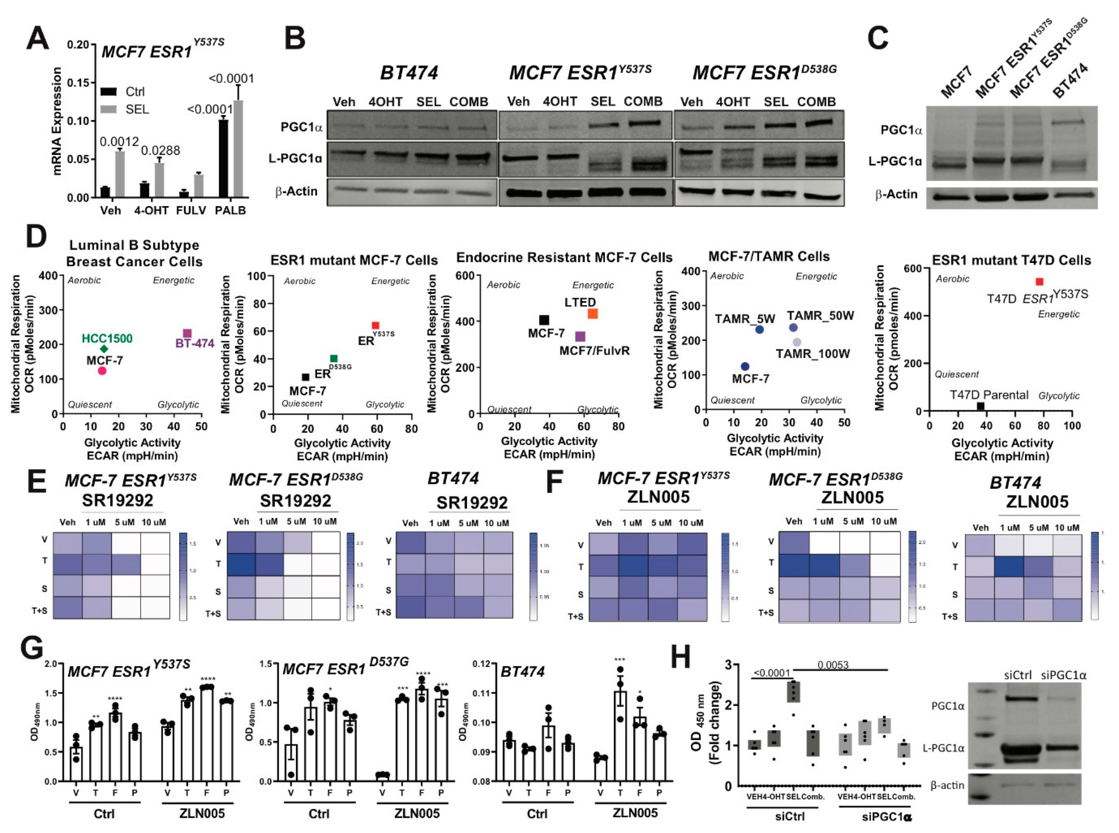 Cancers 12 02397 g005
