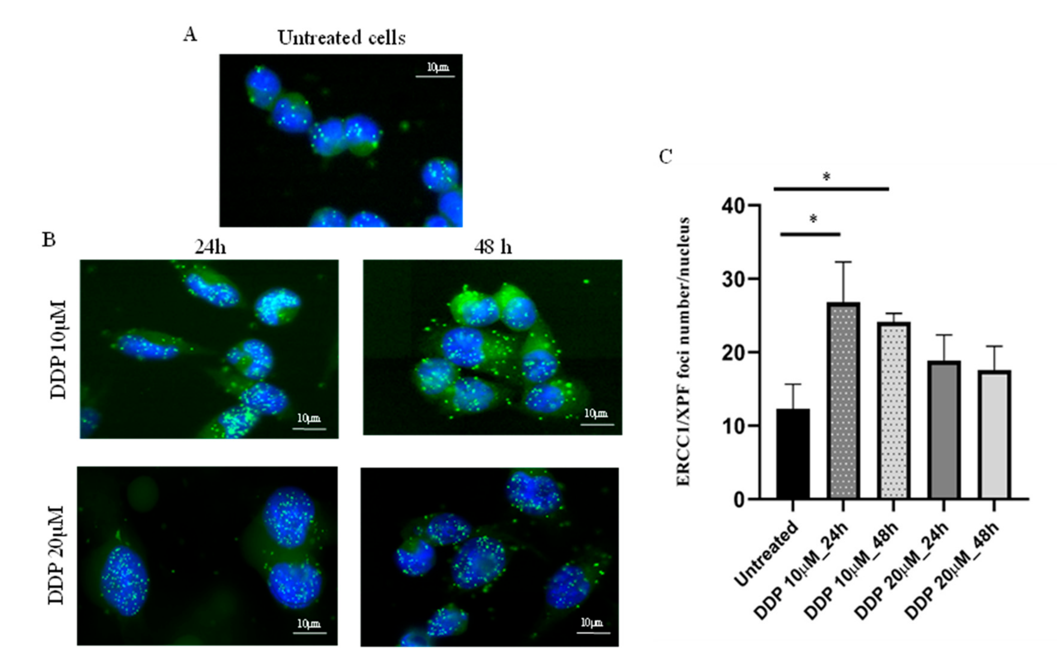 Cancers 12 02398 g002