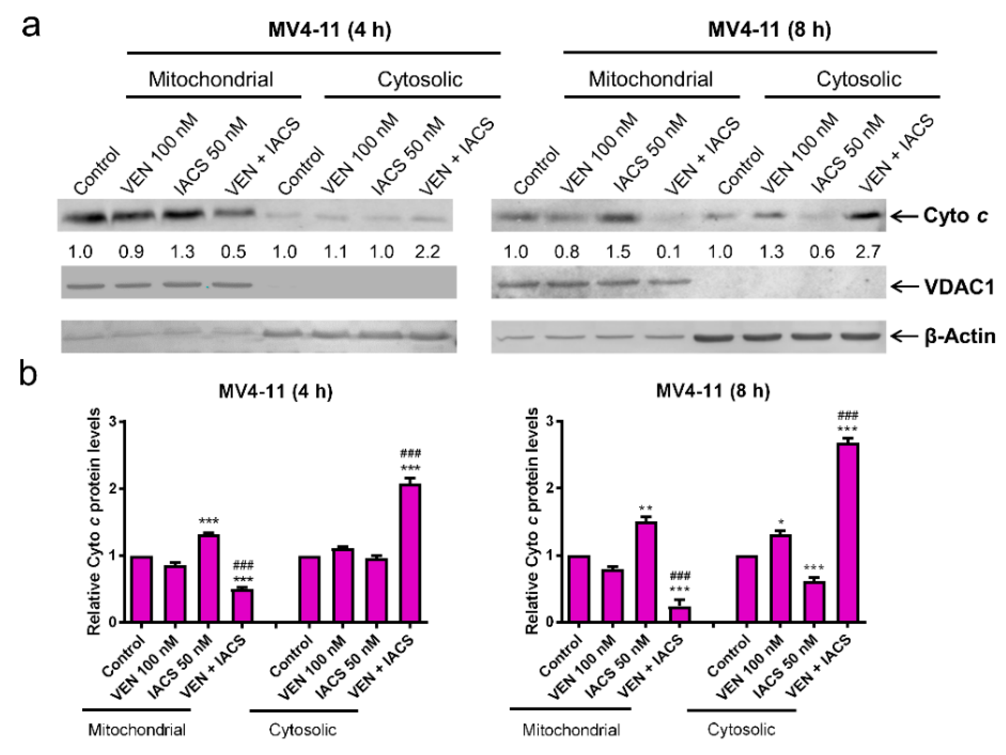 Cancers 12 02400 g005a