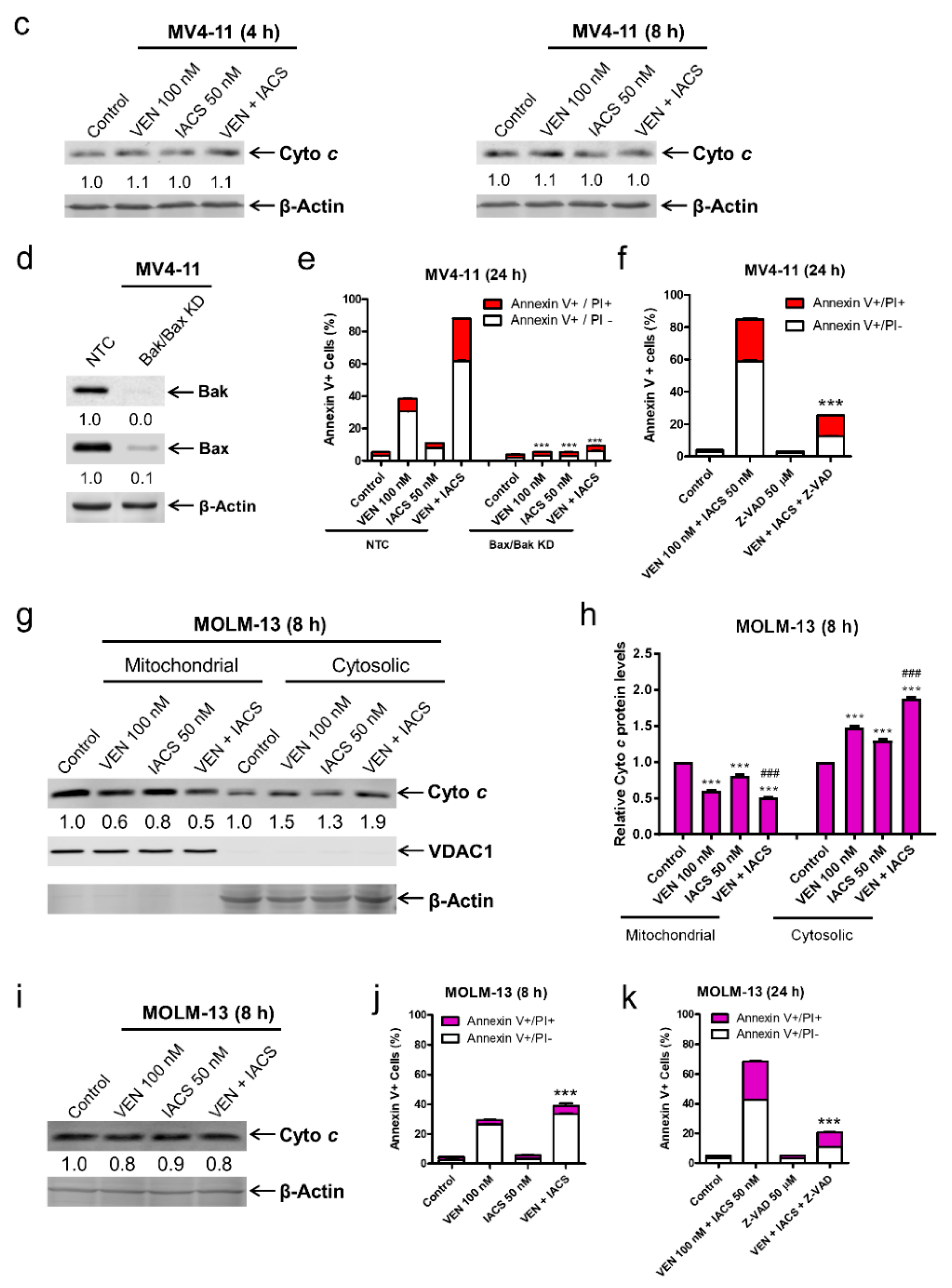 Cancers 12 02400 g005b