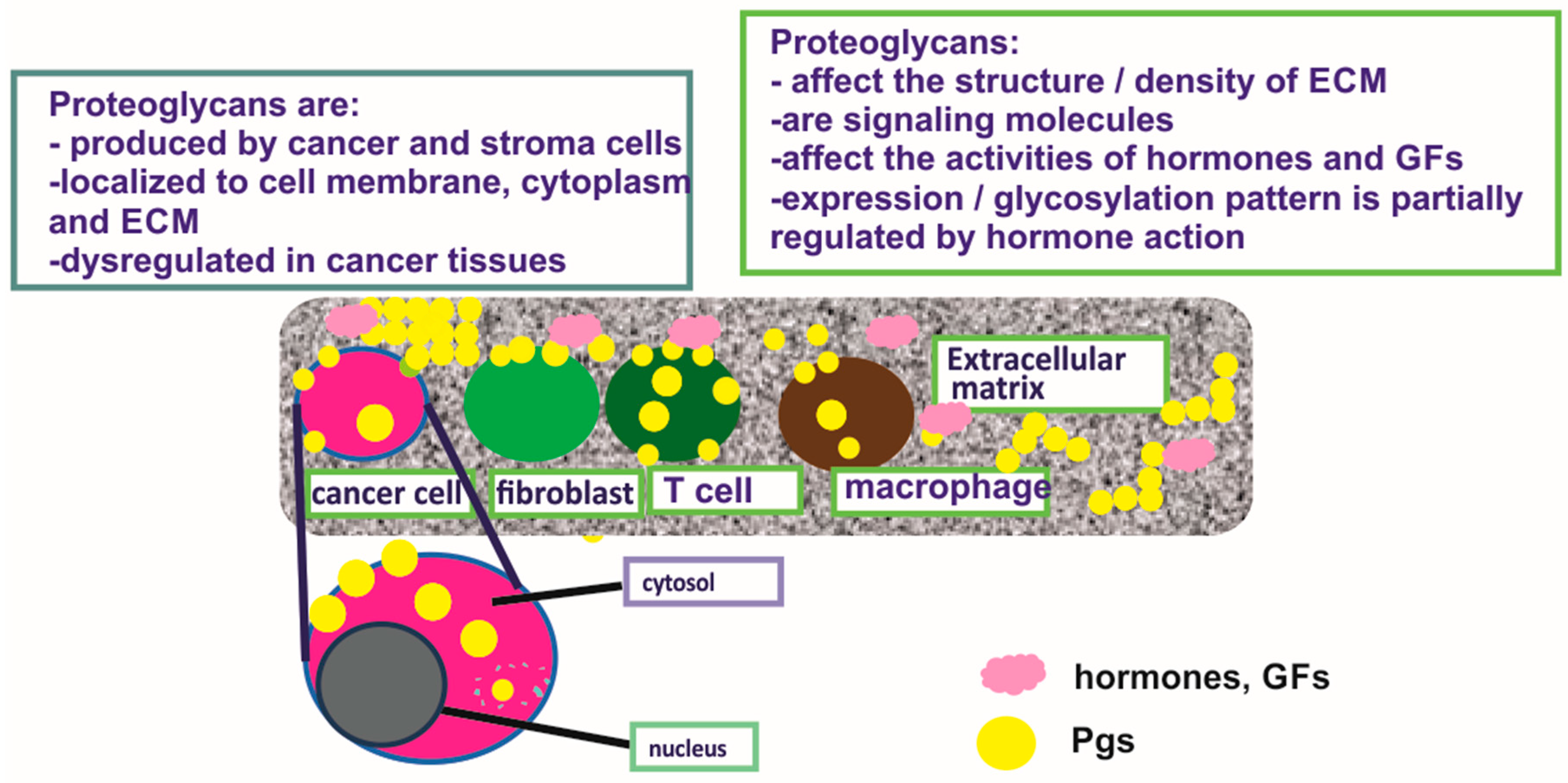 Cancer hormone dependant, - Cancer hormone dependant