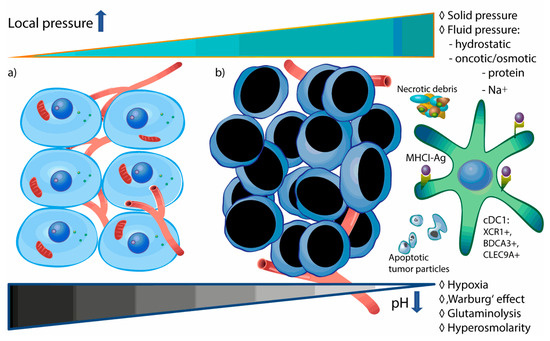 Cancer Acidity and Hypertonicity Contribute to Dysfunction of