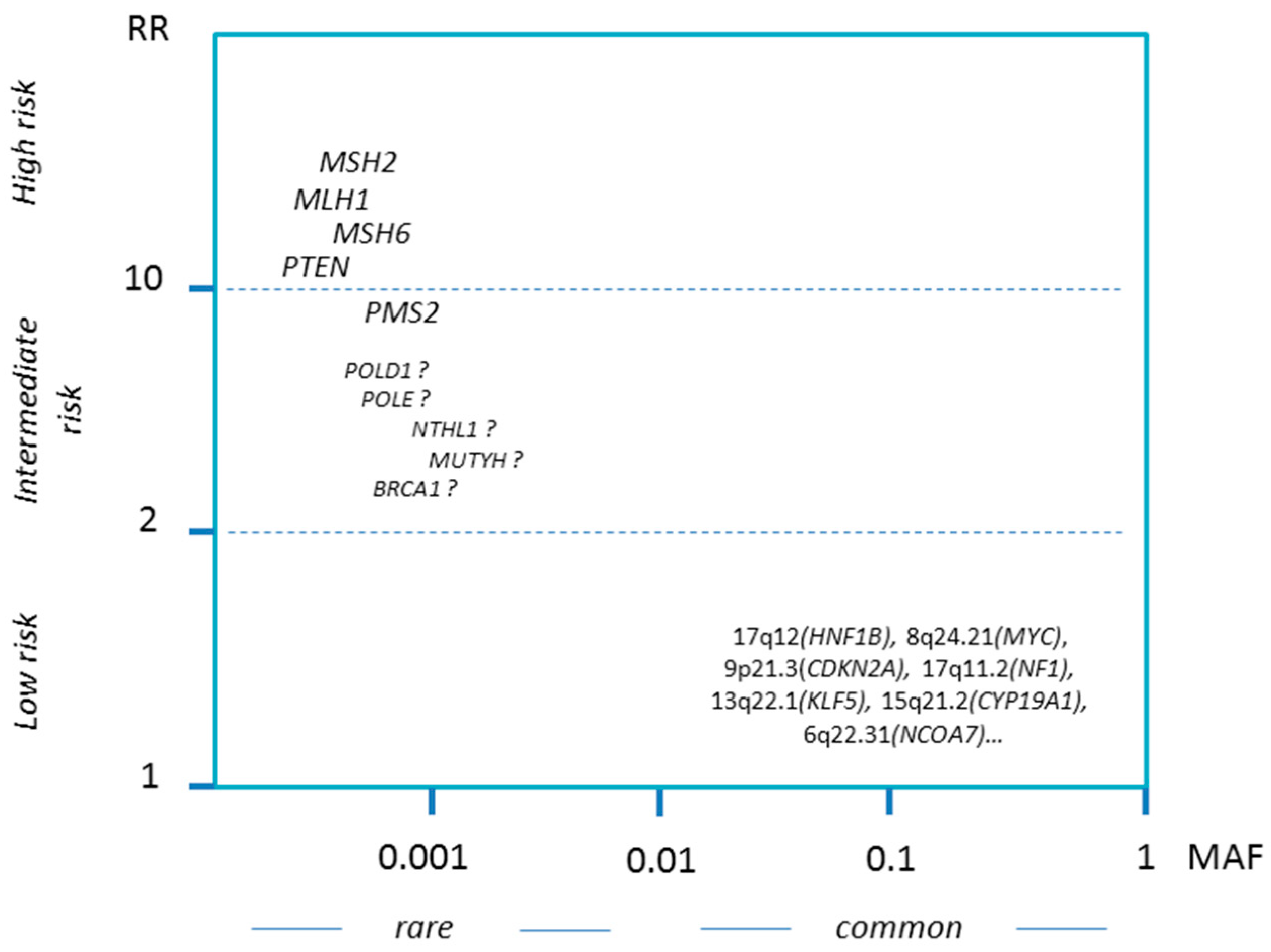 Cancers Free Full Text Genetic Susceptibility To Endometrial Cancer Risk Factors And Clinical Management Html