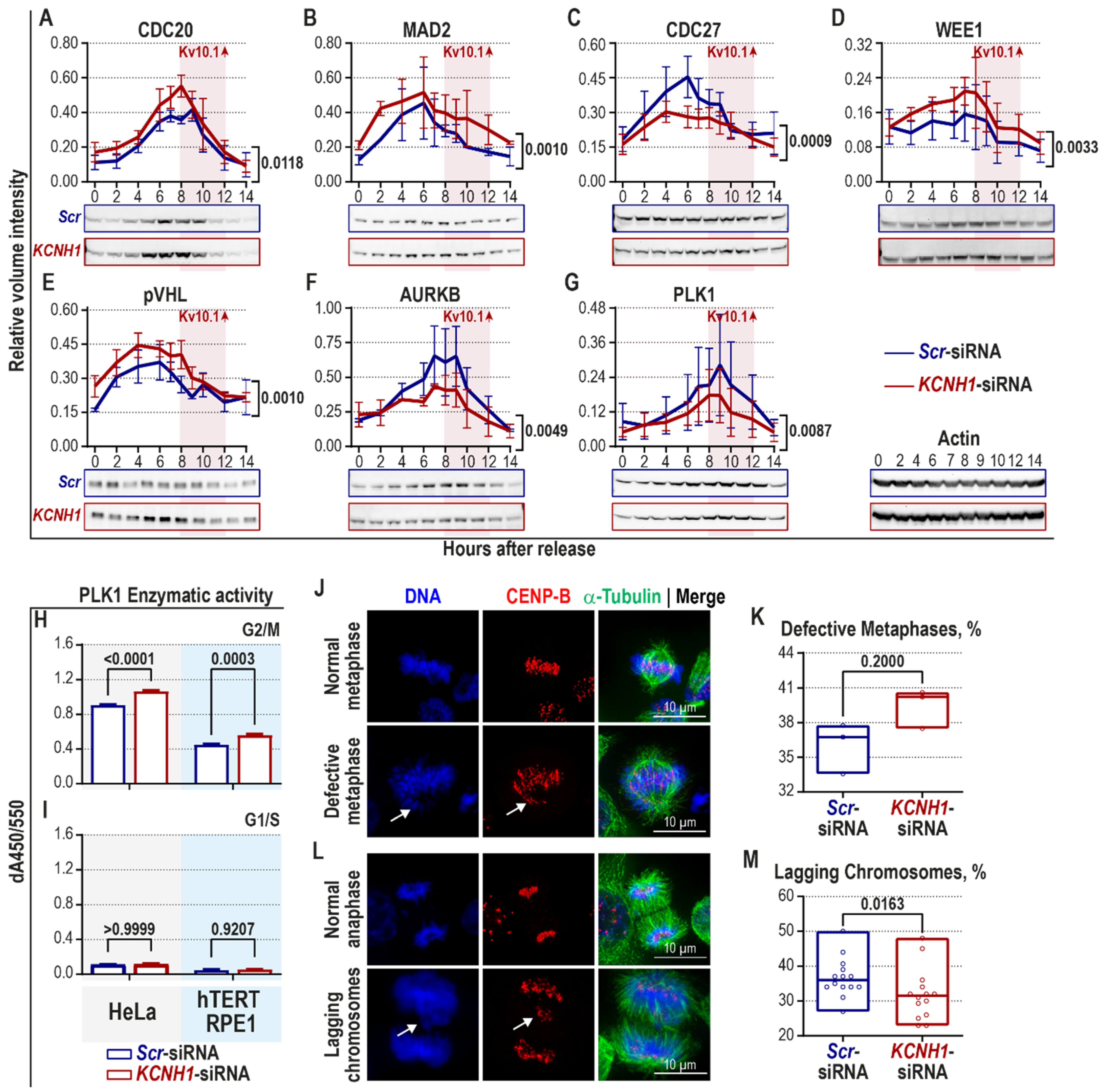Cancers 12 02409 g002