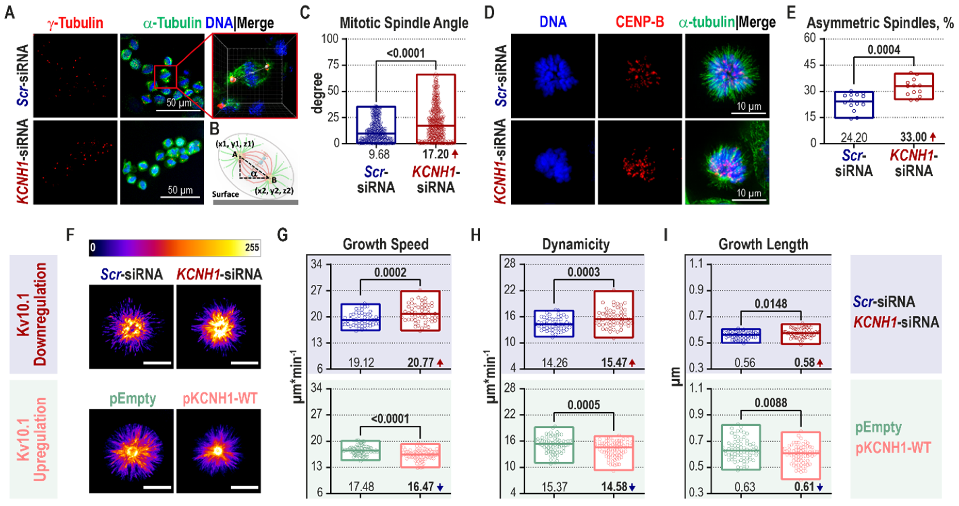 Cancers 12 02409 g003