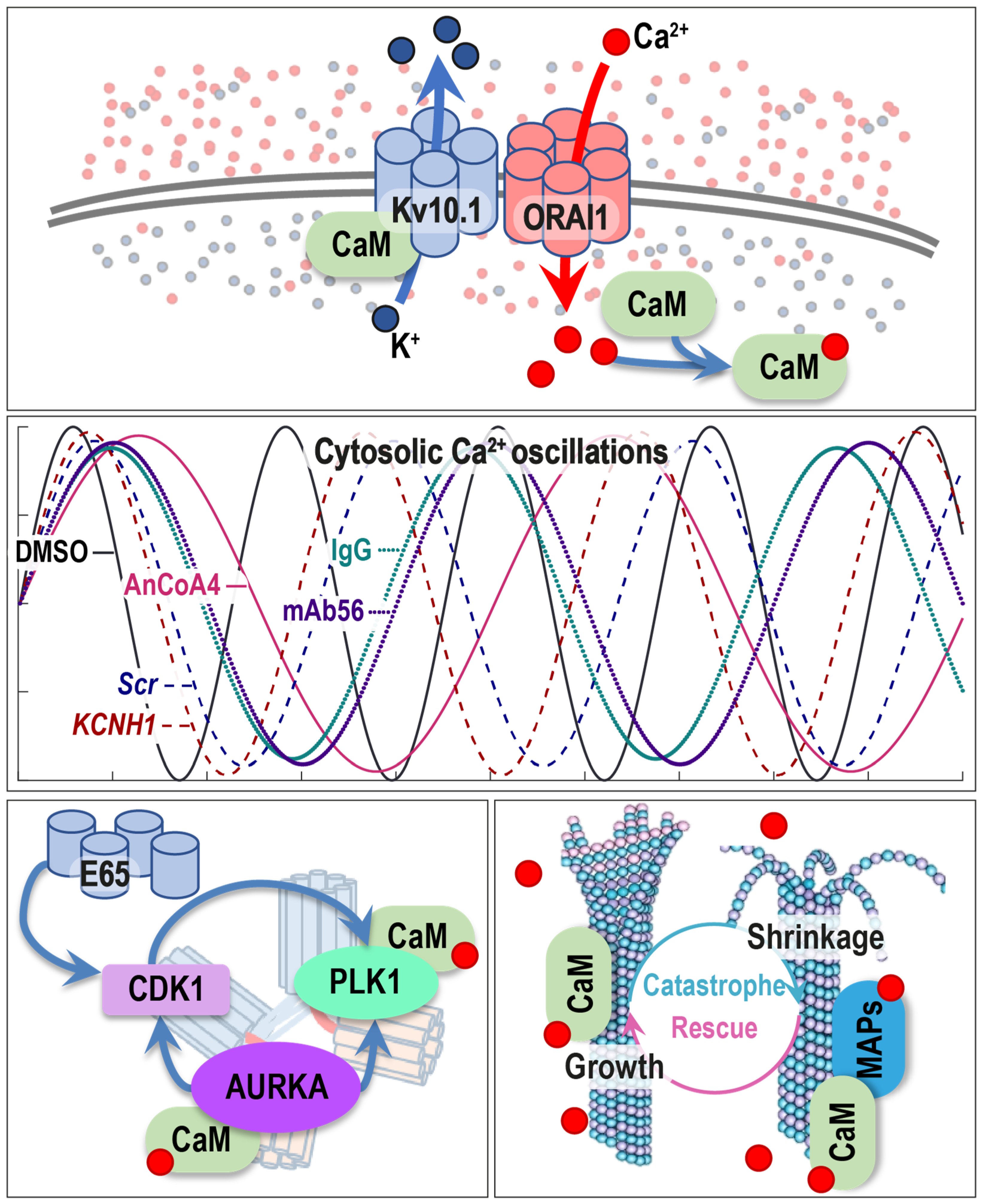 Cancers 12 02409 g006