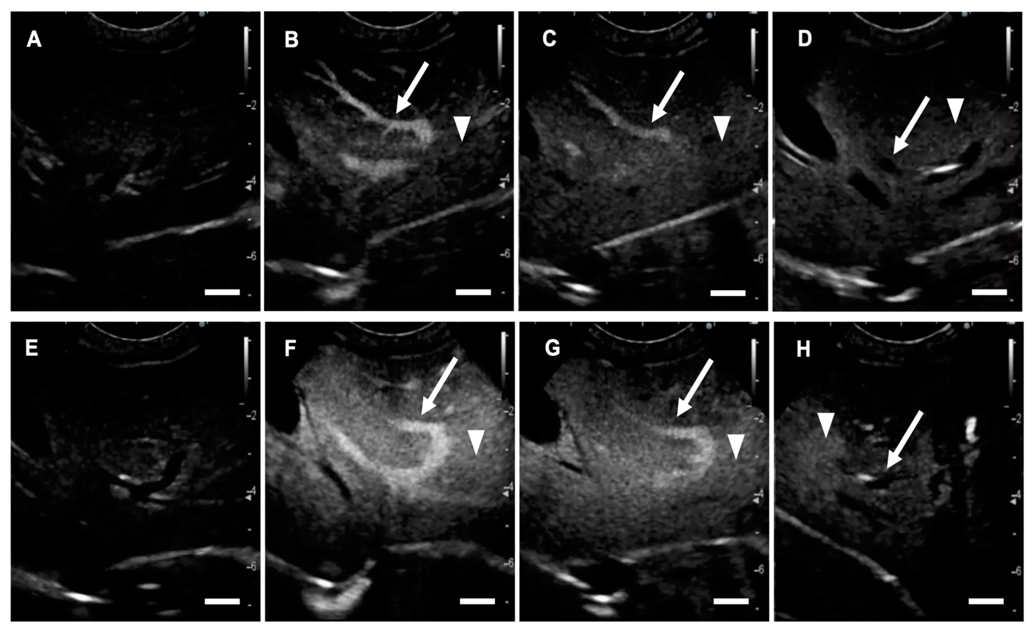 Cancers 12 02423 g001