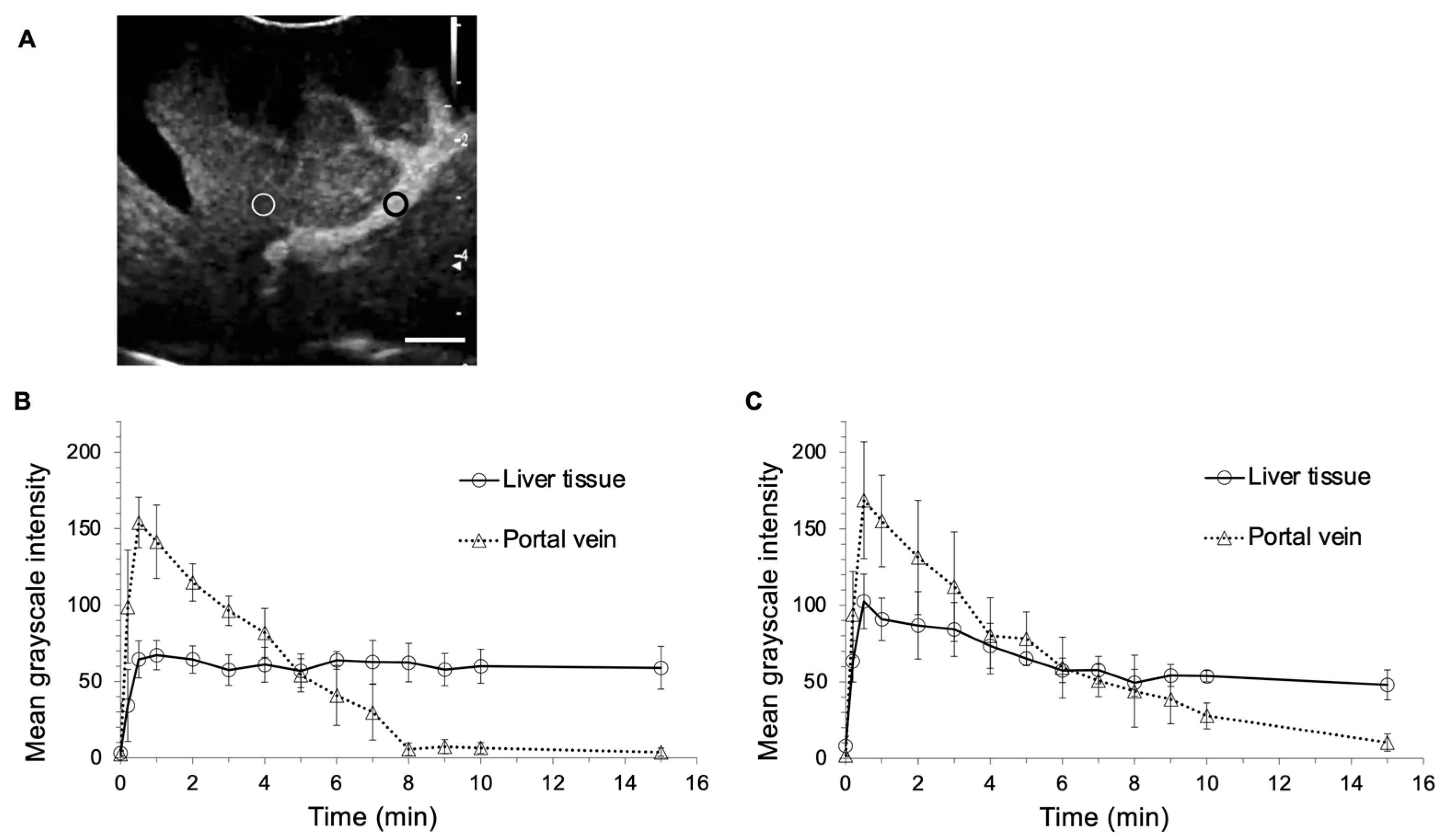 Cancers 12 02423 g002