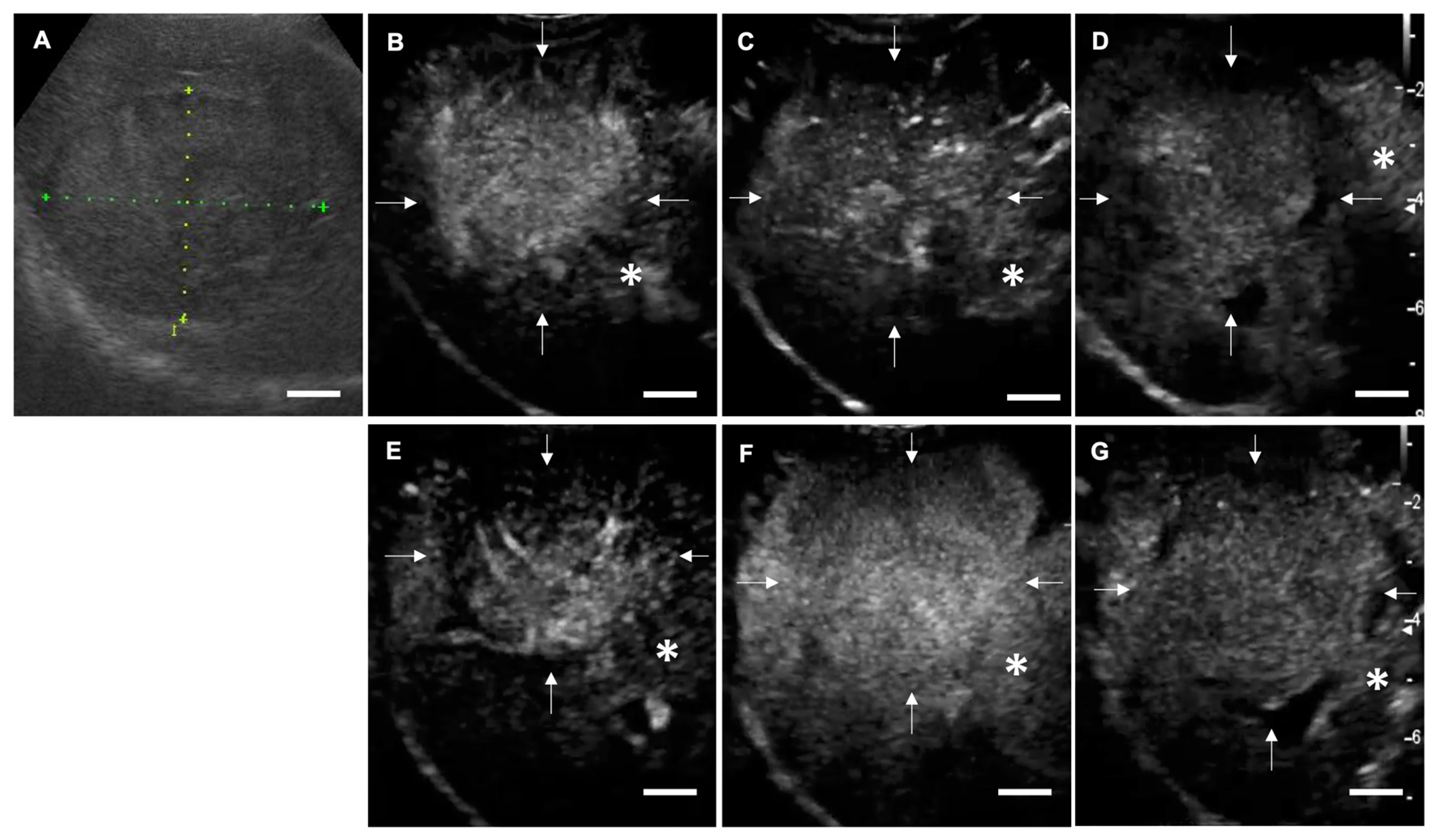 Cancers 12 02423 g003