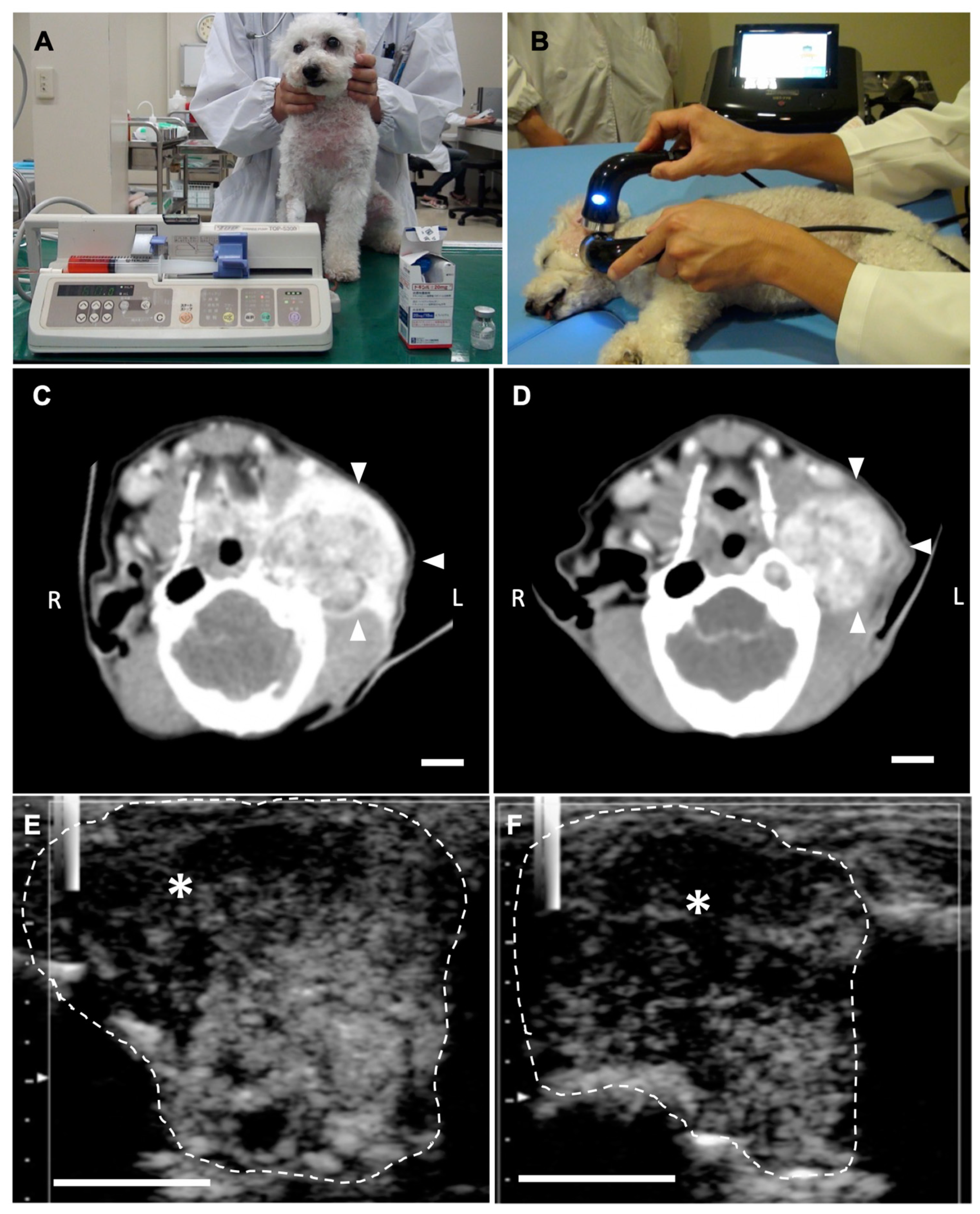 Cancers 12 02423 g007